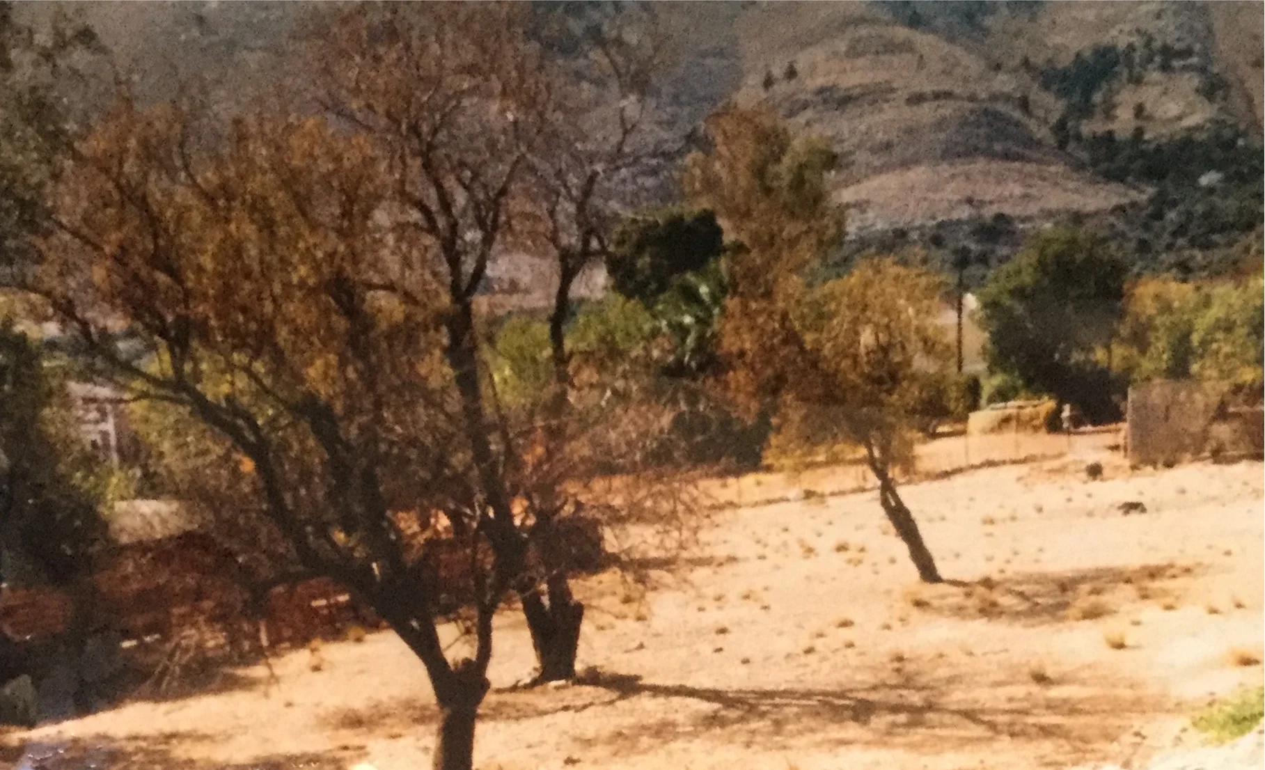 A Year In Nadada: Week Thirty Four- Rocked To Sleep