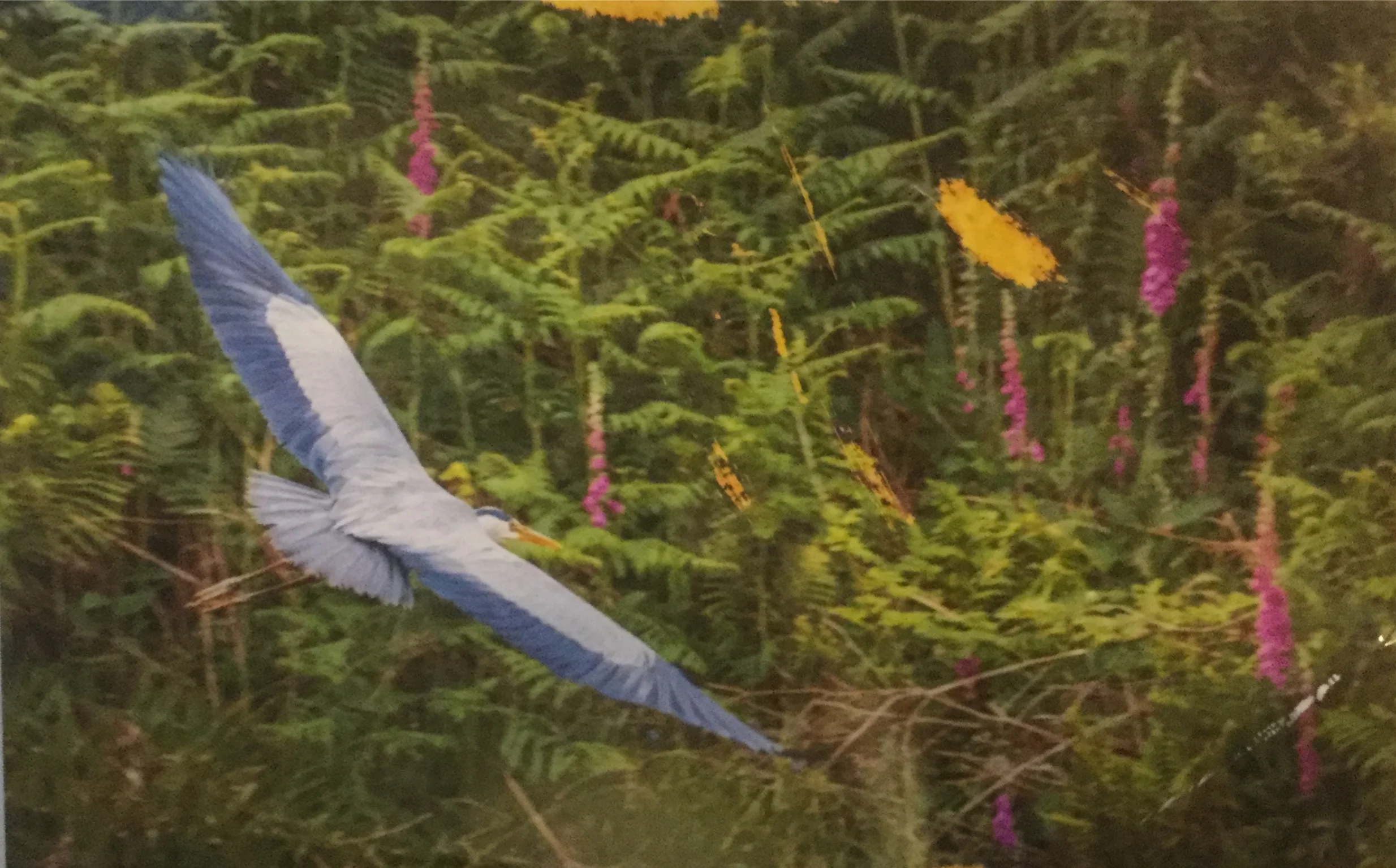 A Year In Nadada: Week Thirty Nine- Farewell to the Jungle