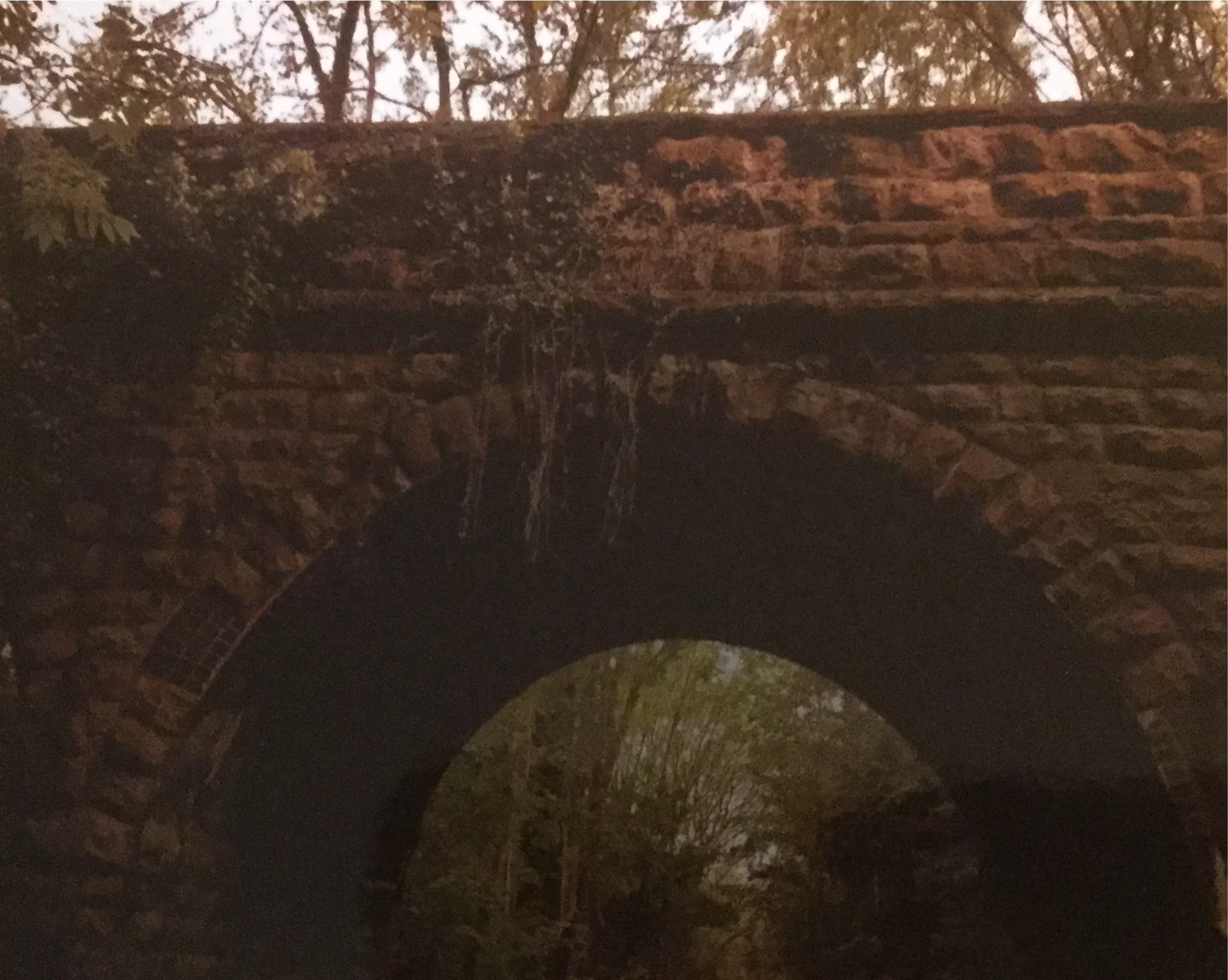 A Year In Nadada: Week Forty- Looking For Pansaers