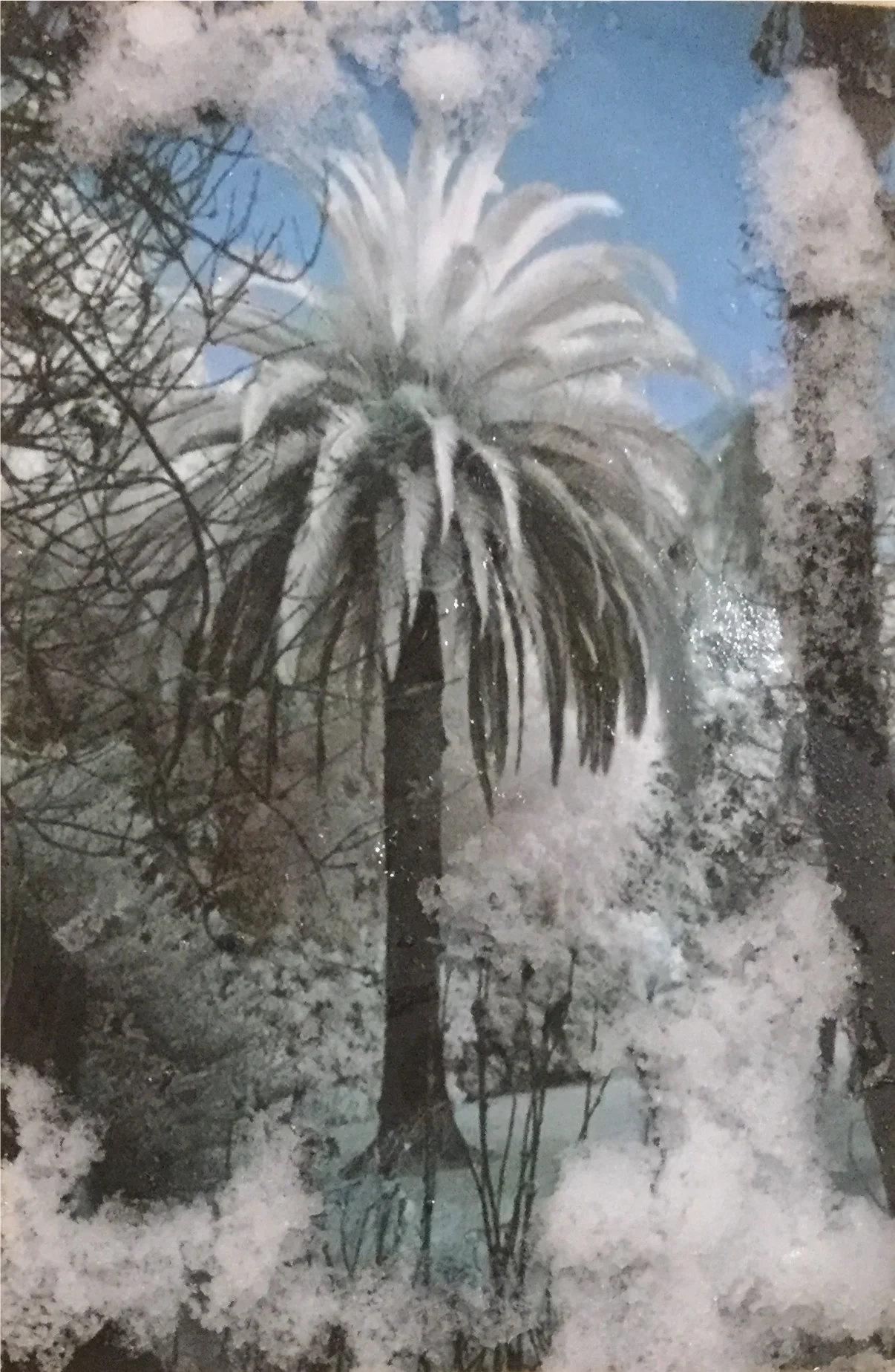 A Year In Nadada: Week Forty Eight- A Mammoth Task