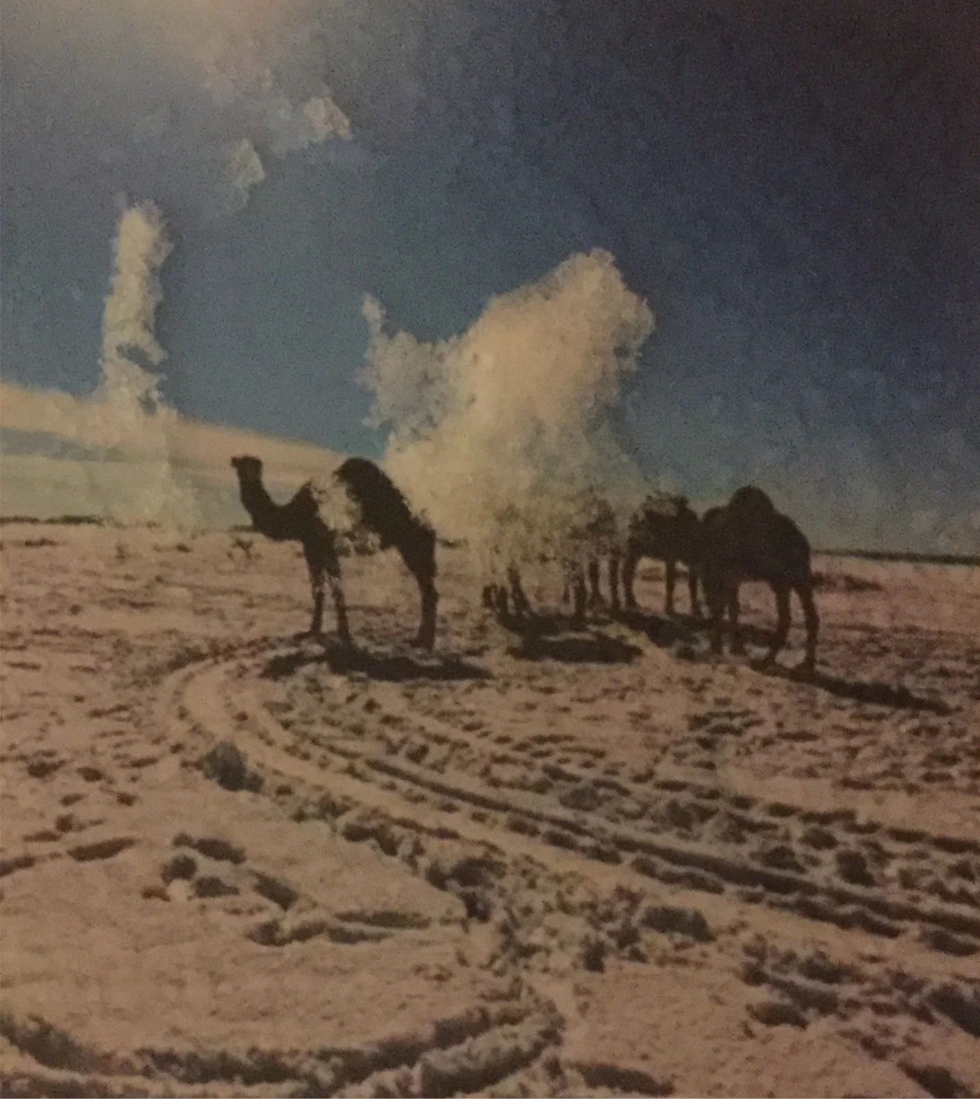Camels wait in the snow outside the pub.