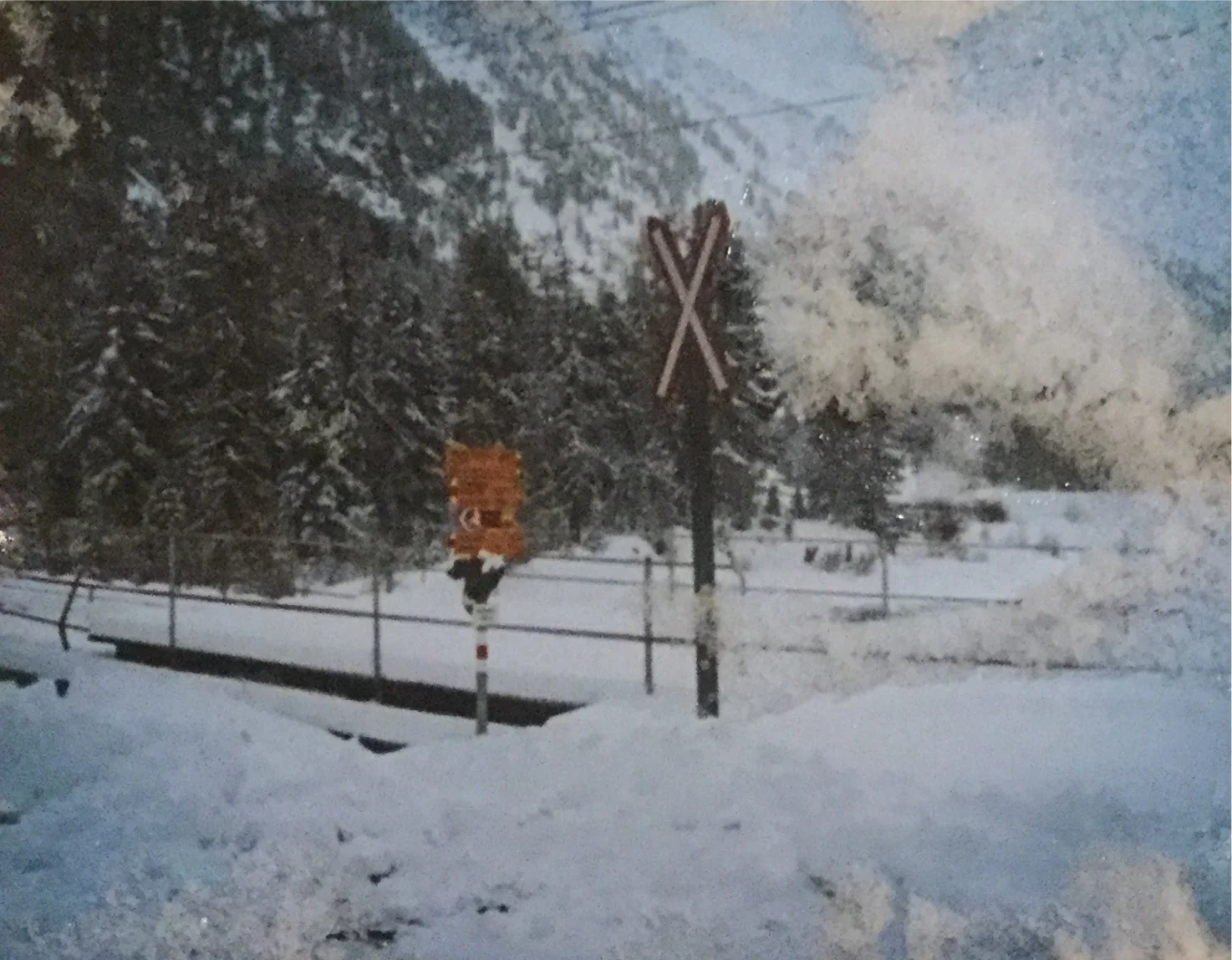 A Year In Nadada: Week Fifty One- Goodbye Butter Mouse