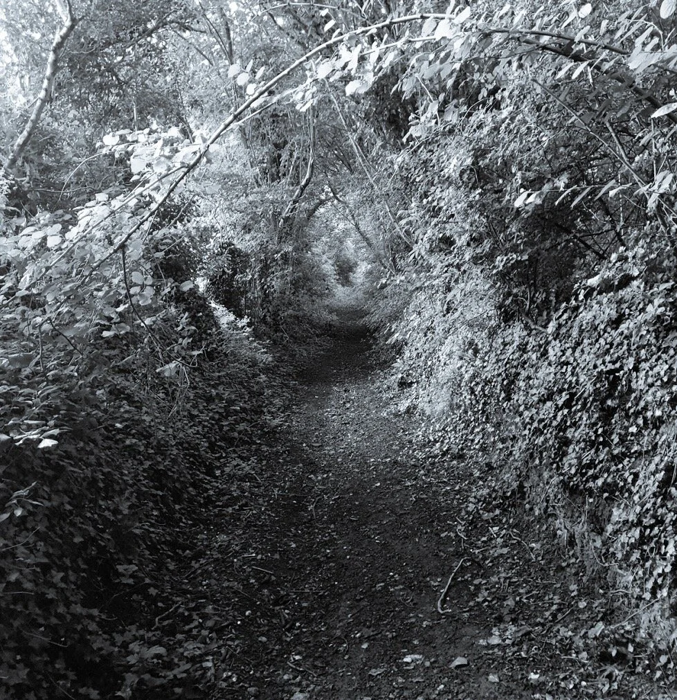Ácwern Bog 1/2