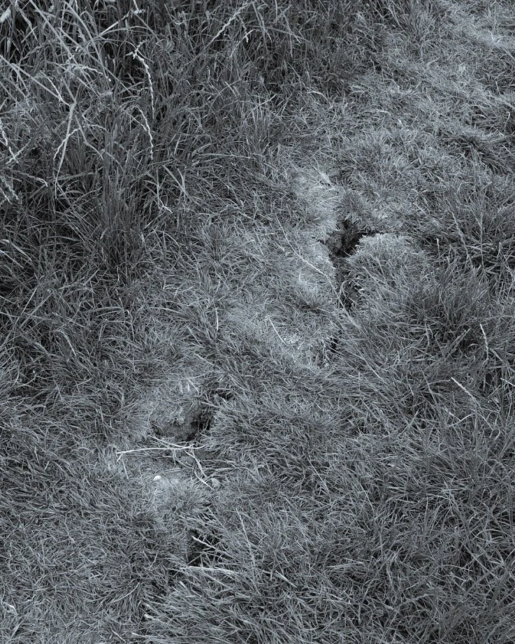 Ácwern Bog 2/2