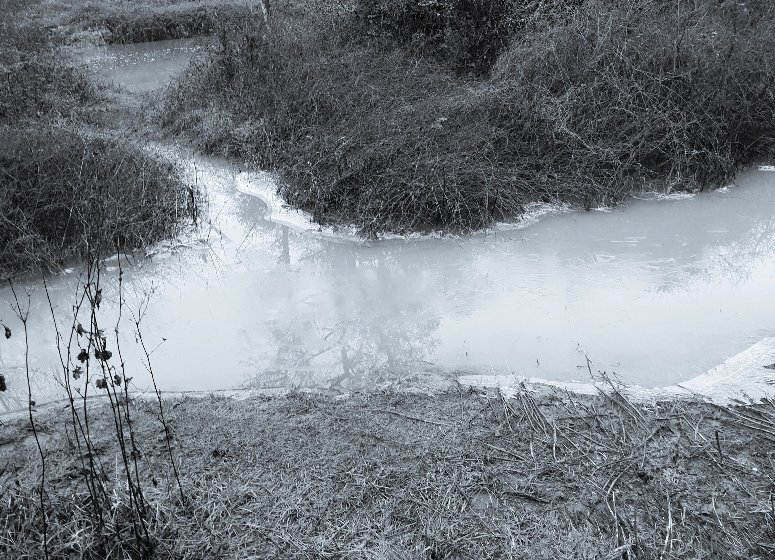 20201230_153937.jpeg