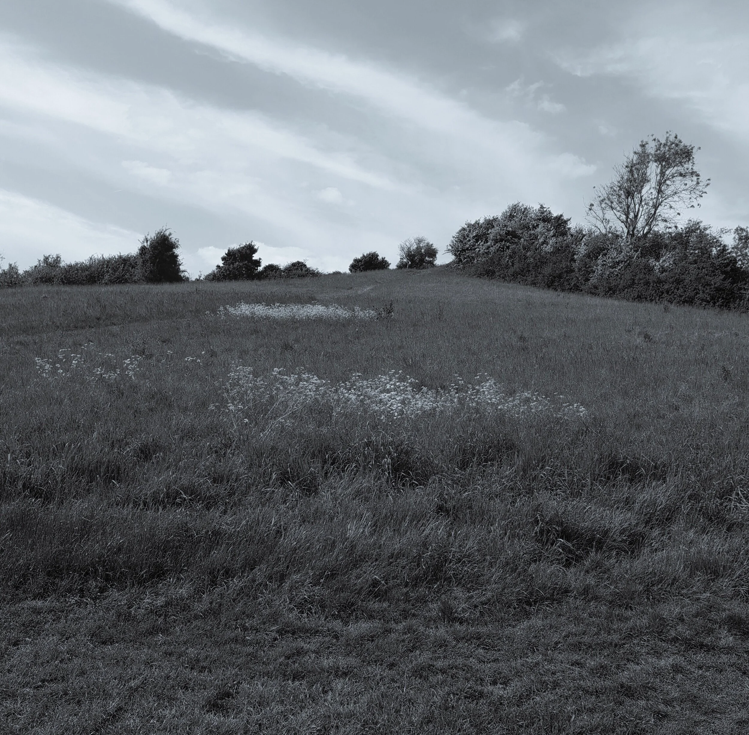 Windor Hill 1/2
