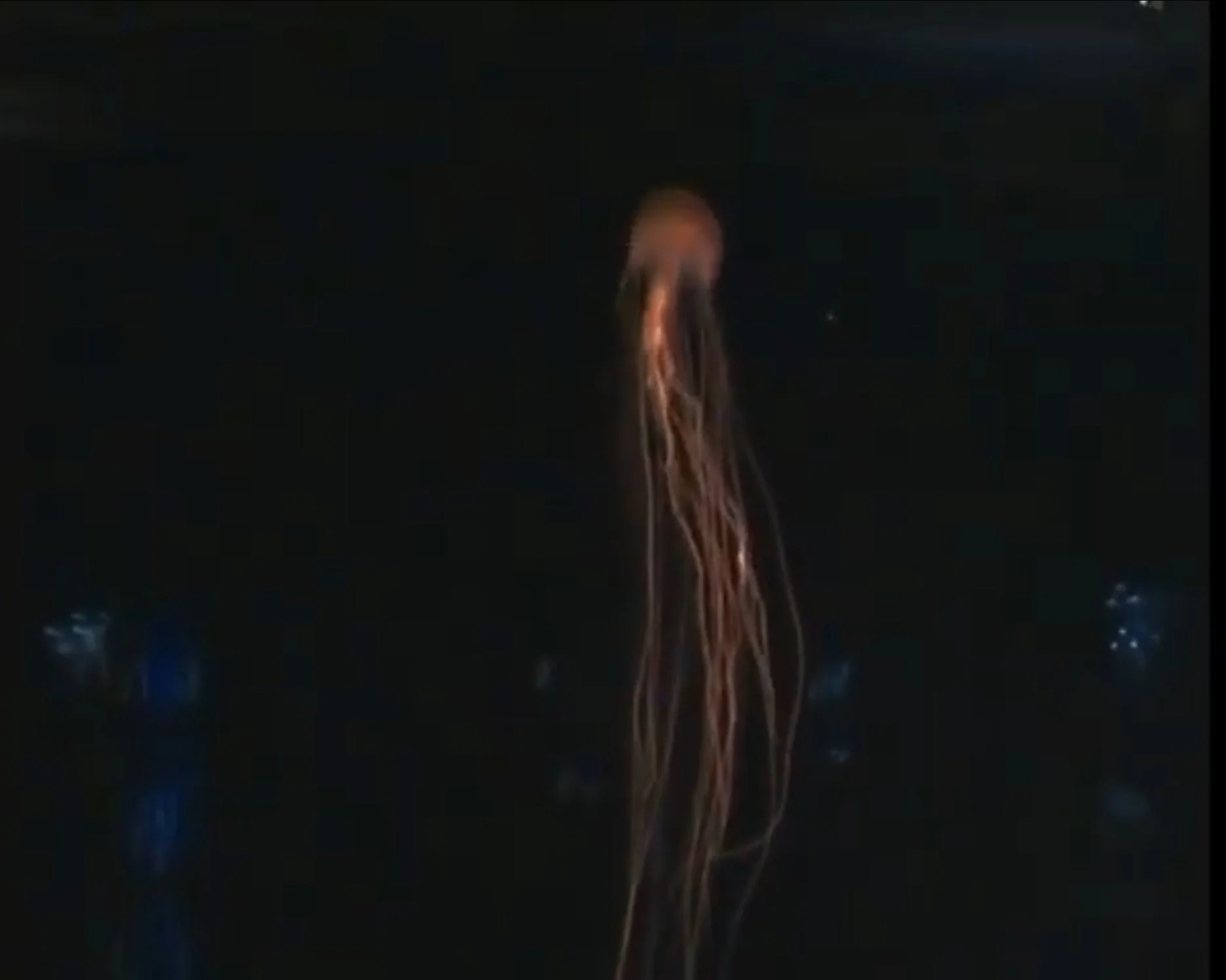 Day Fifty-Three: Unclipped Wings