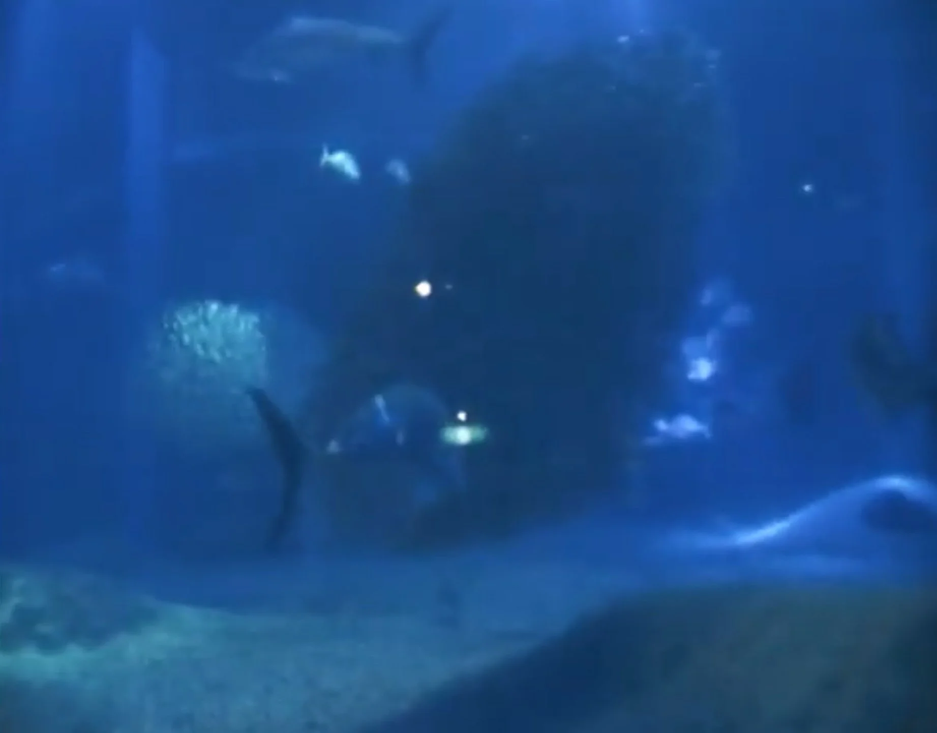 Day Fifty-Nine: Square Cigarettes