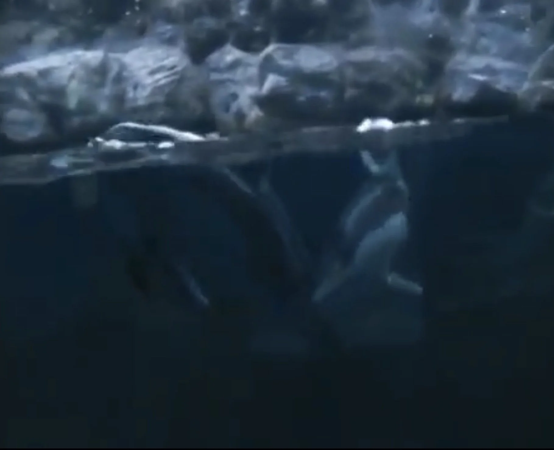 Day Sixty-Seven: Flying Lessons