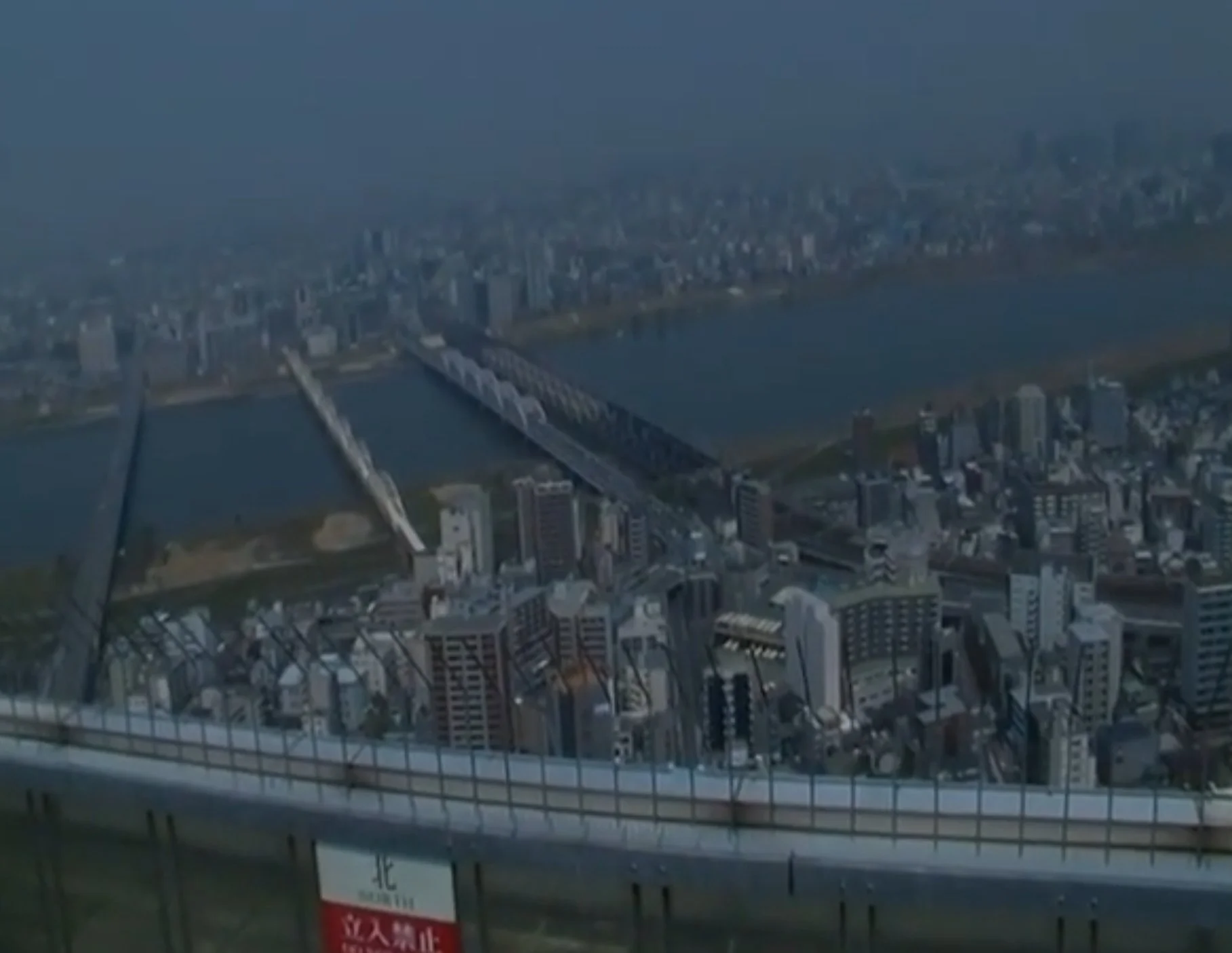 Day One Hundred And Fifteen: Palm Prints 