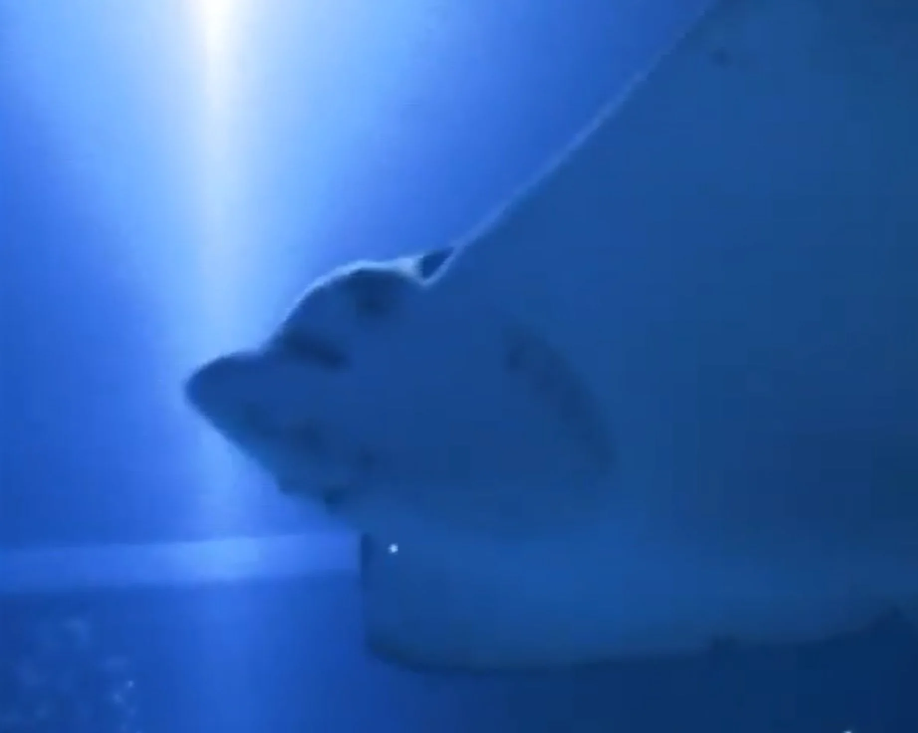 Day One Hundred And Seventy Three: Glitter Ball