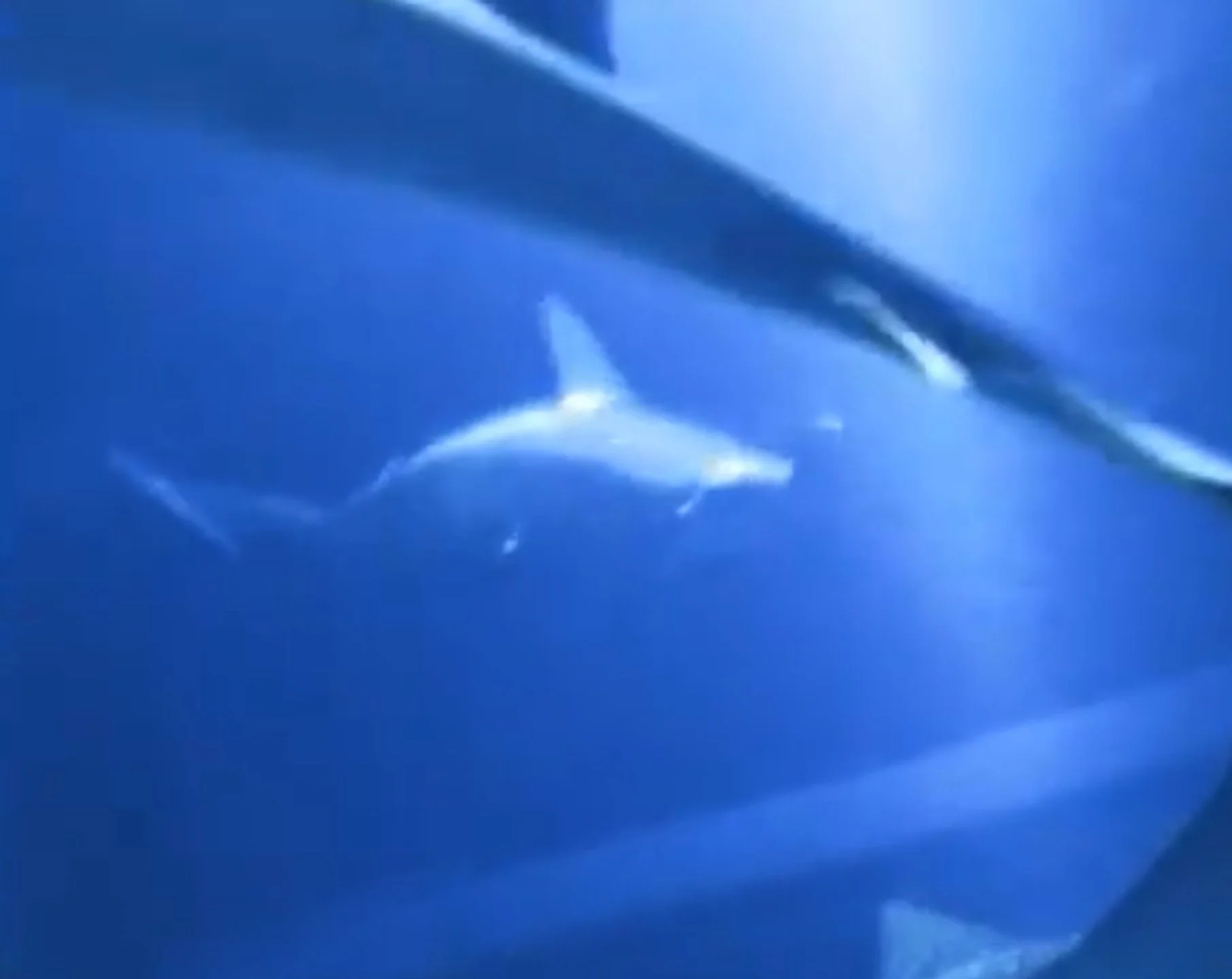 Day Two Hundred And Sixteen: Melting Point