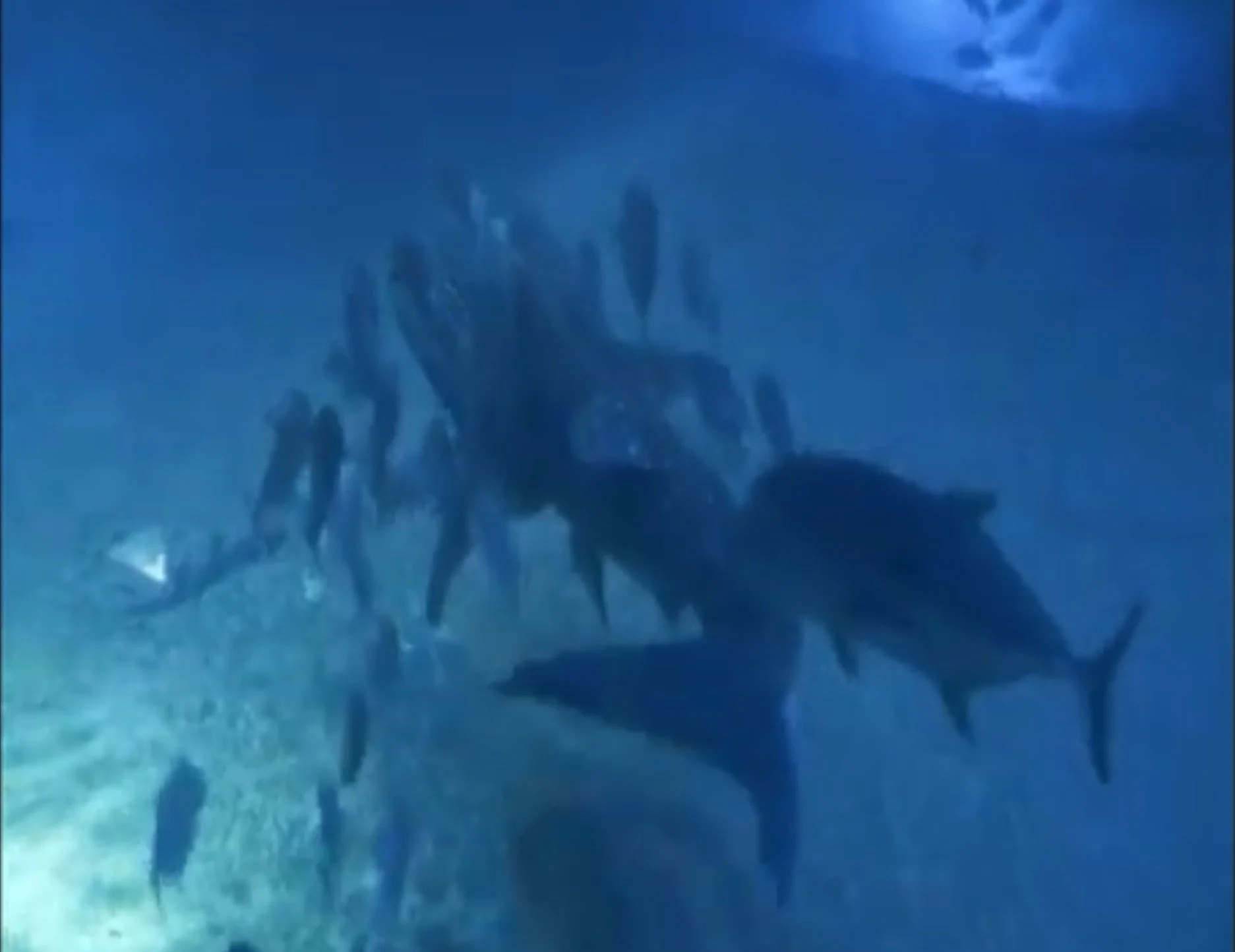 Day Two Hundred And Thirty Two: Jigsaw puzzle