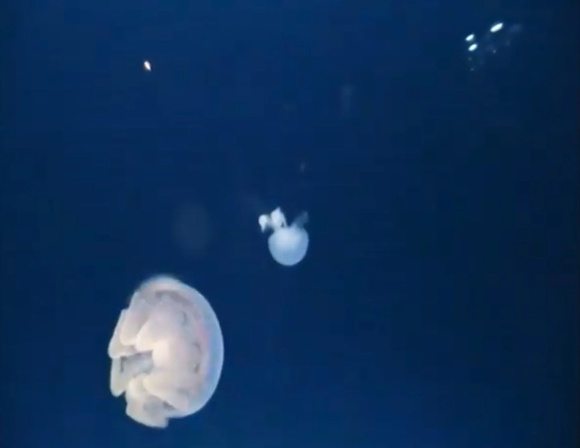 Day Two Hundred And Fifty: New Traditions