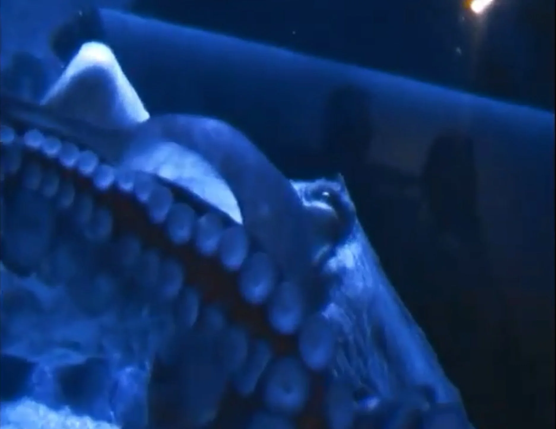 Day Two Hundred And Ninety Six: Inside Out