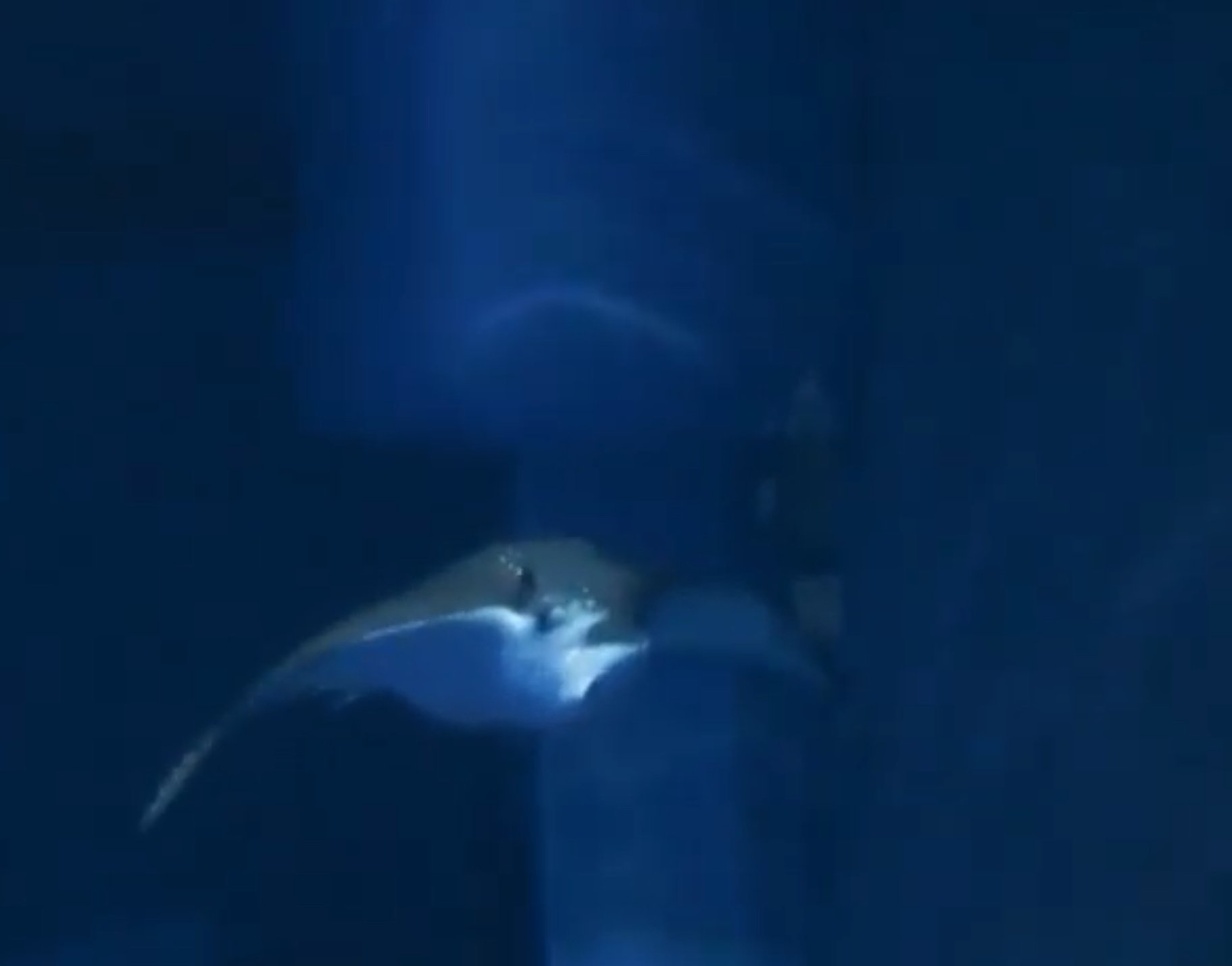 Day Three Hundred and Sixteen: Final Friends