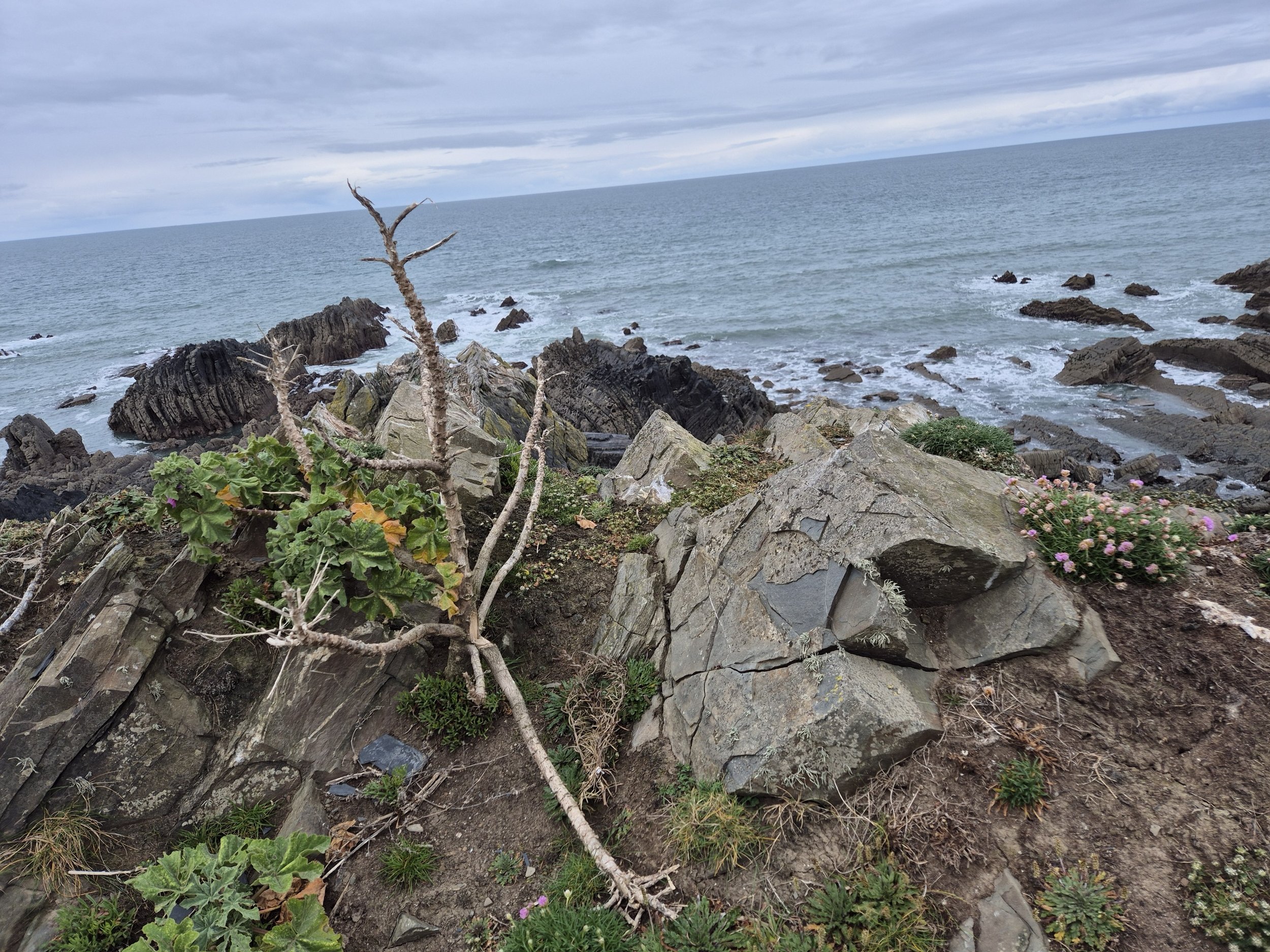 A Perfect Reflection 