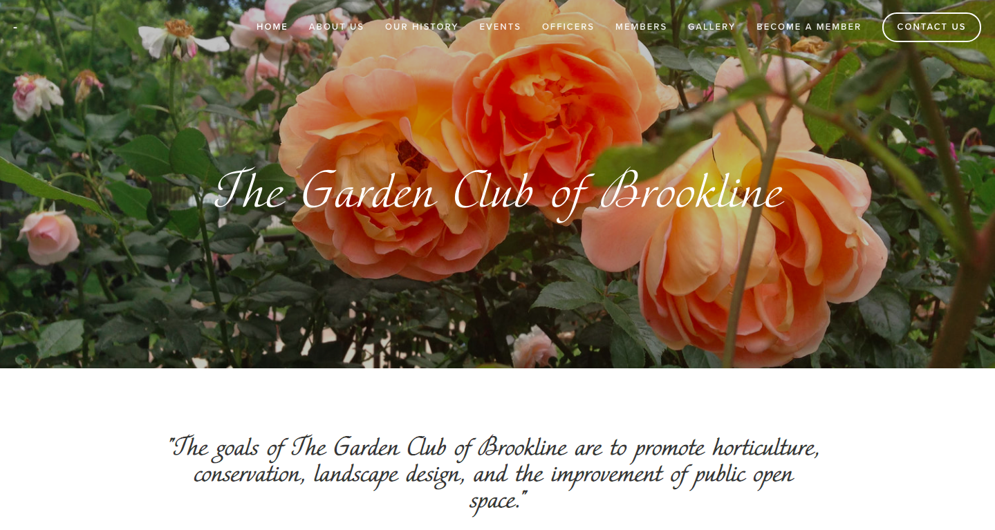 Screen Shot 2019-01-06 at 12.48.27 PM.png