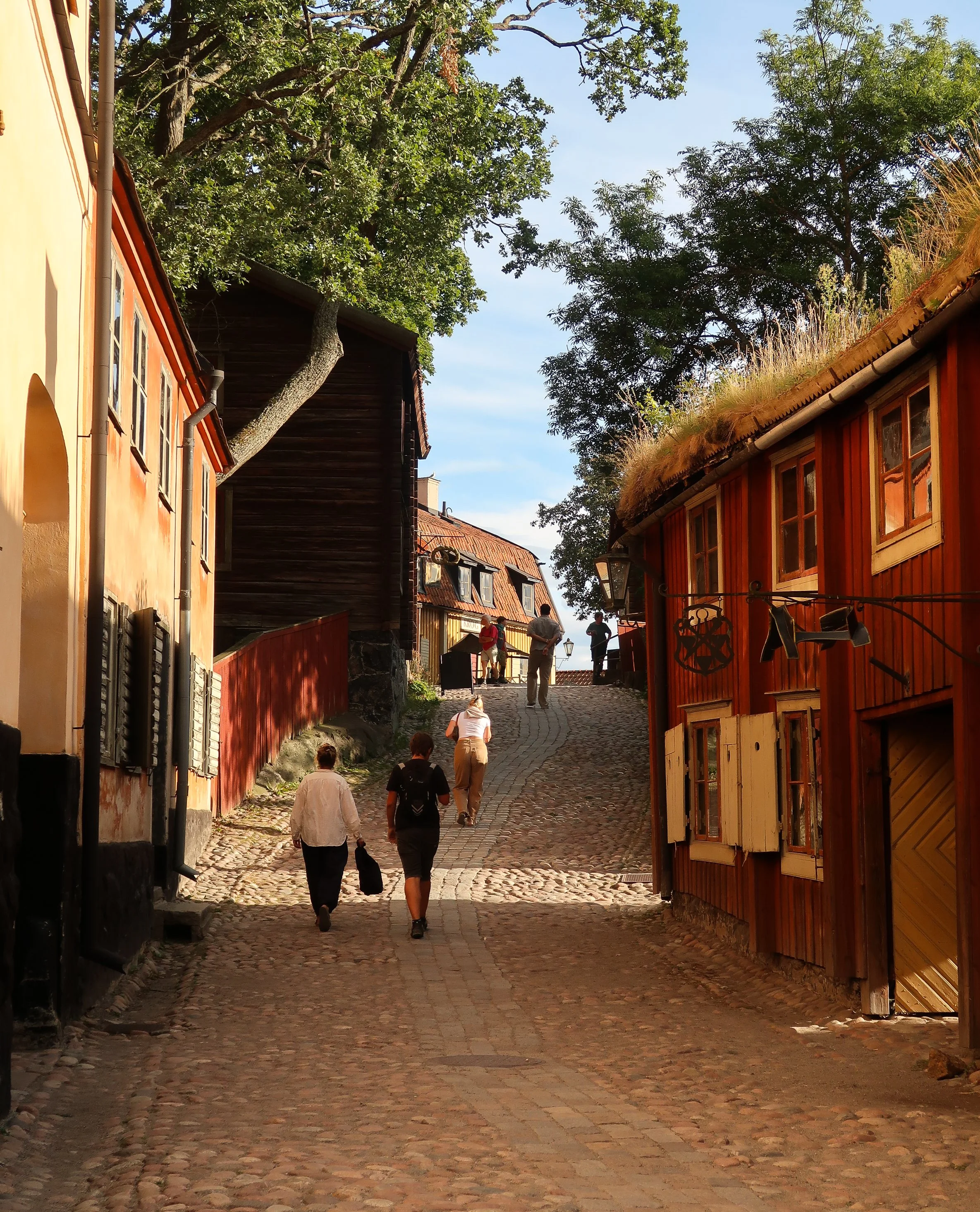 IMG_5620.jpg