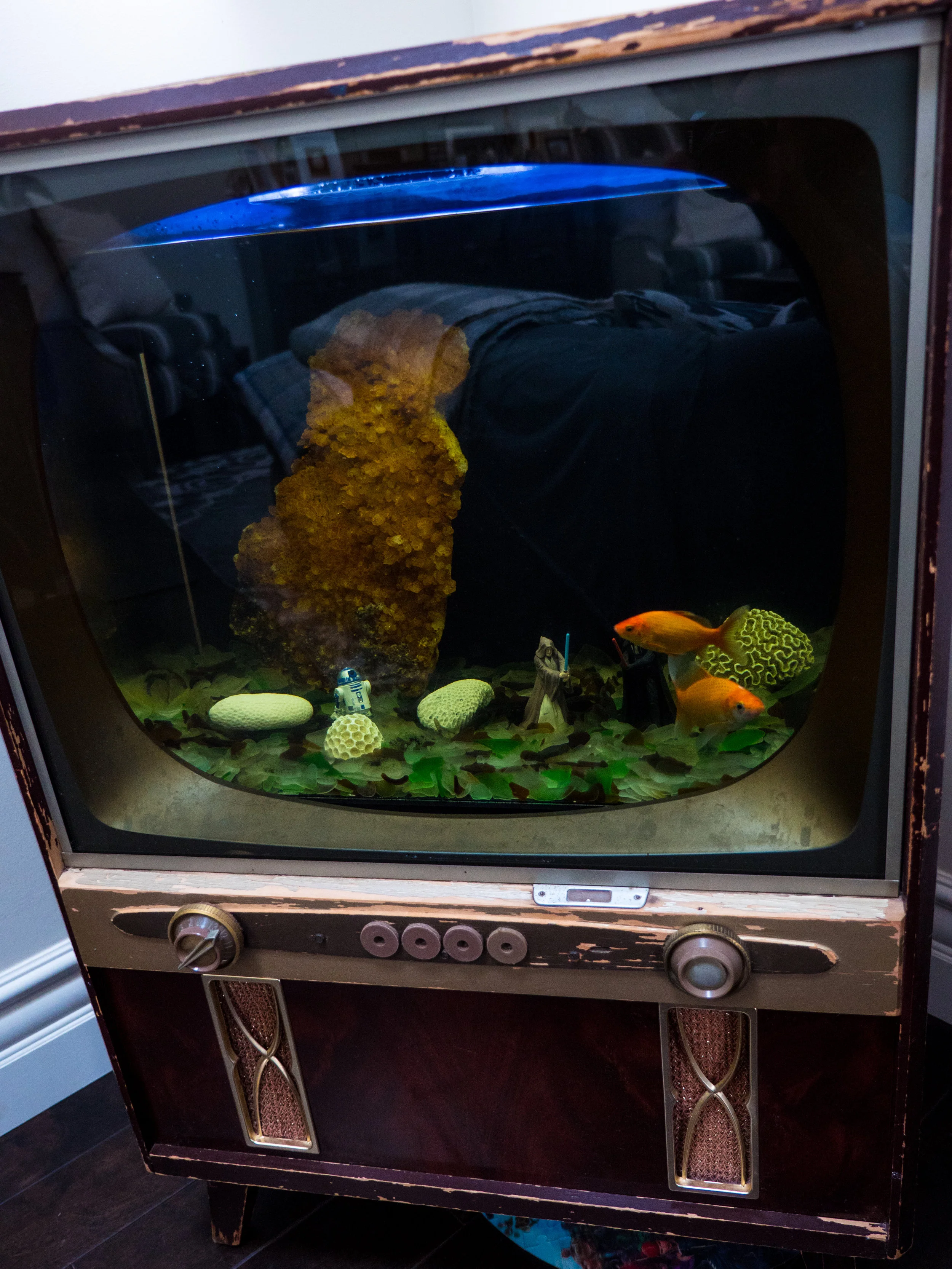 TV Fish Tank