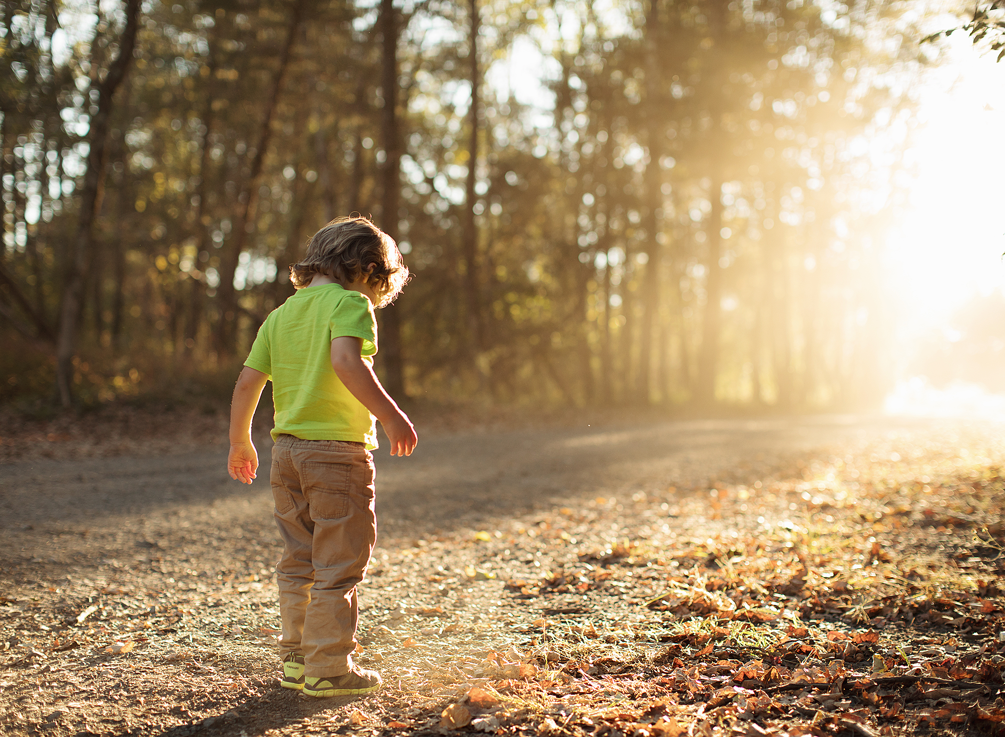 Even shuffling along a dirt path can be magical with the right kind of light