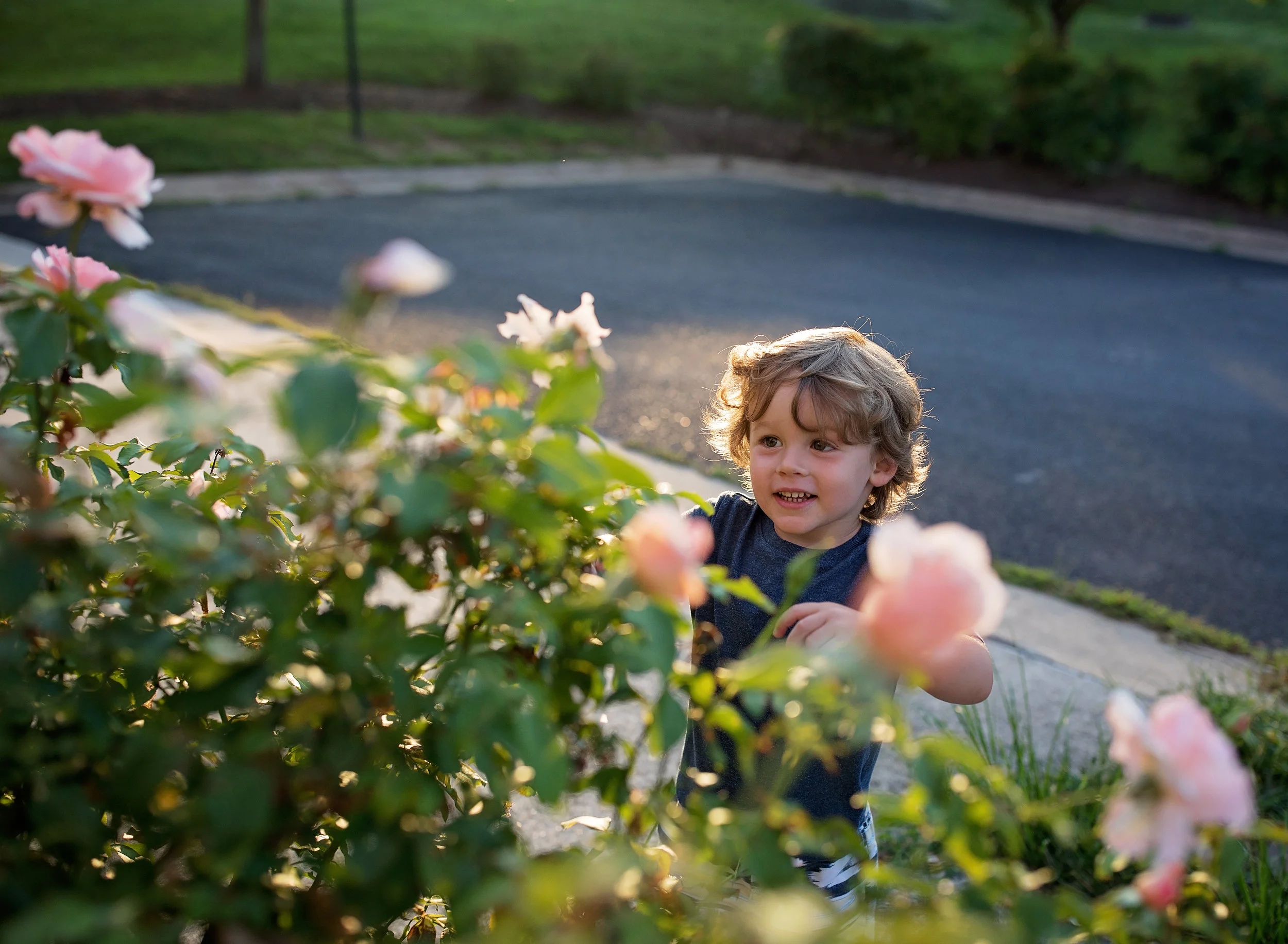 Then I moved a few feet and caught this beautiful moment of a toddler taking a moment to stop and smell the roses. 
