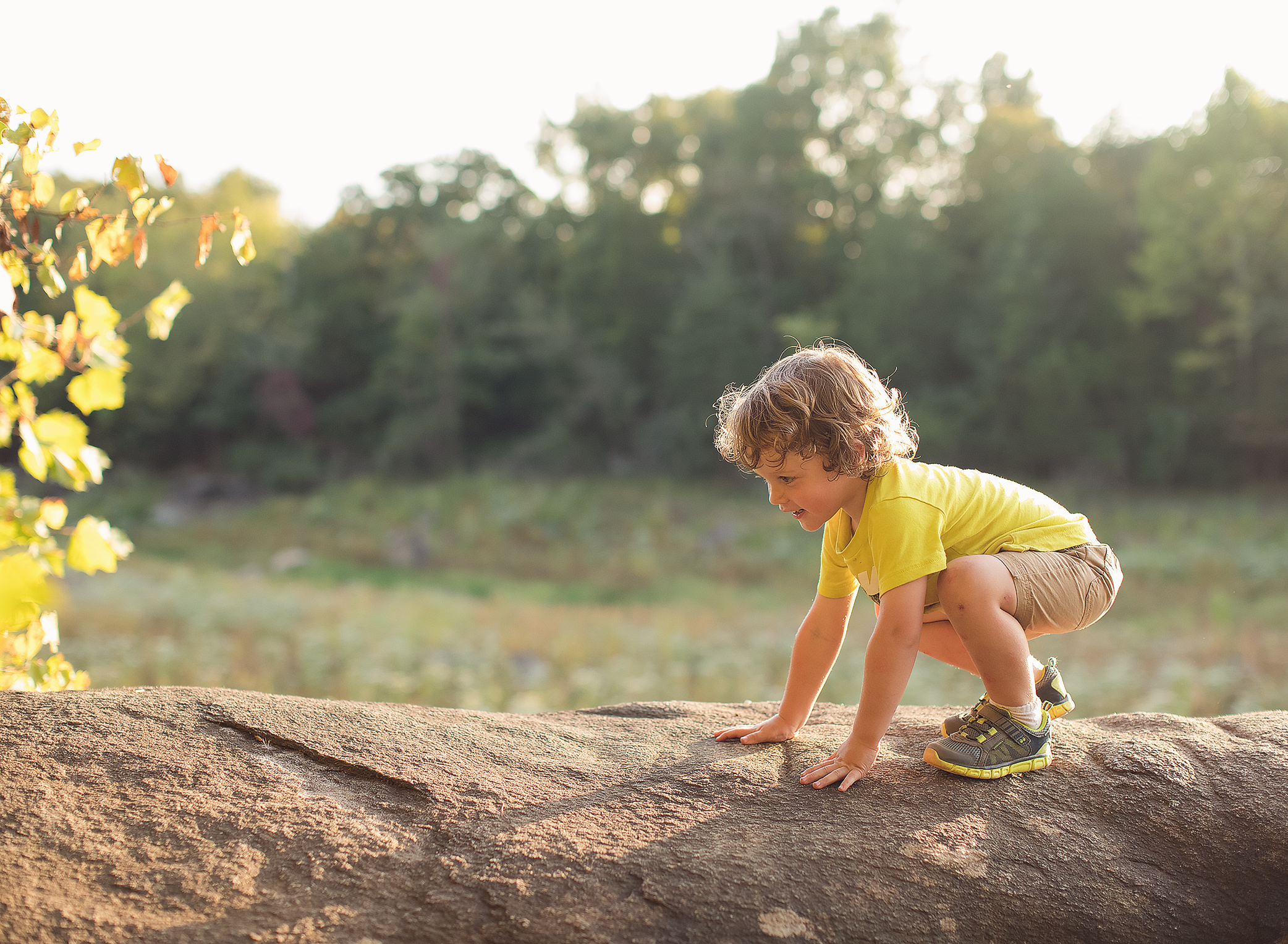 A sunday evening hike backlit by the setting sun.