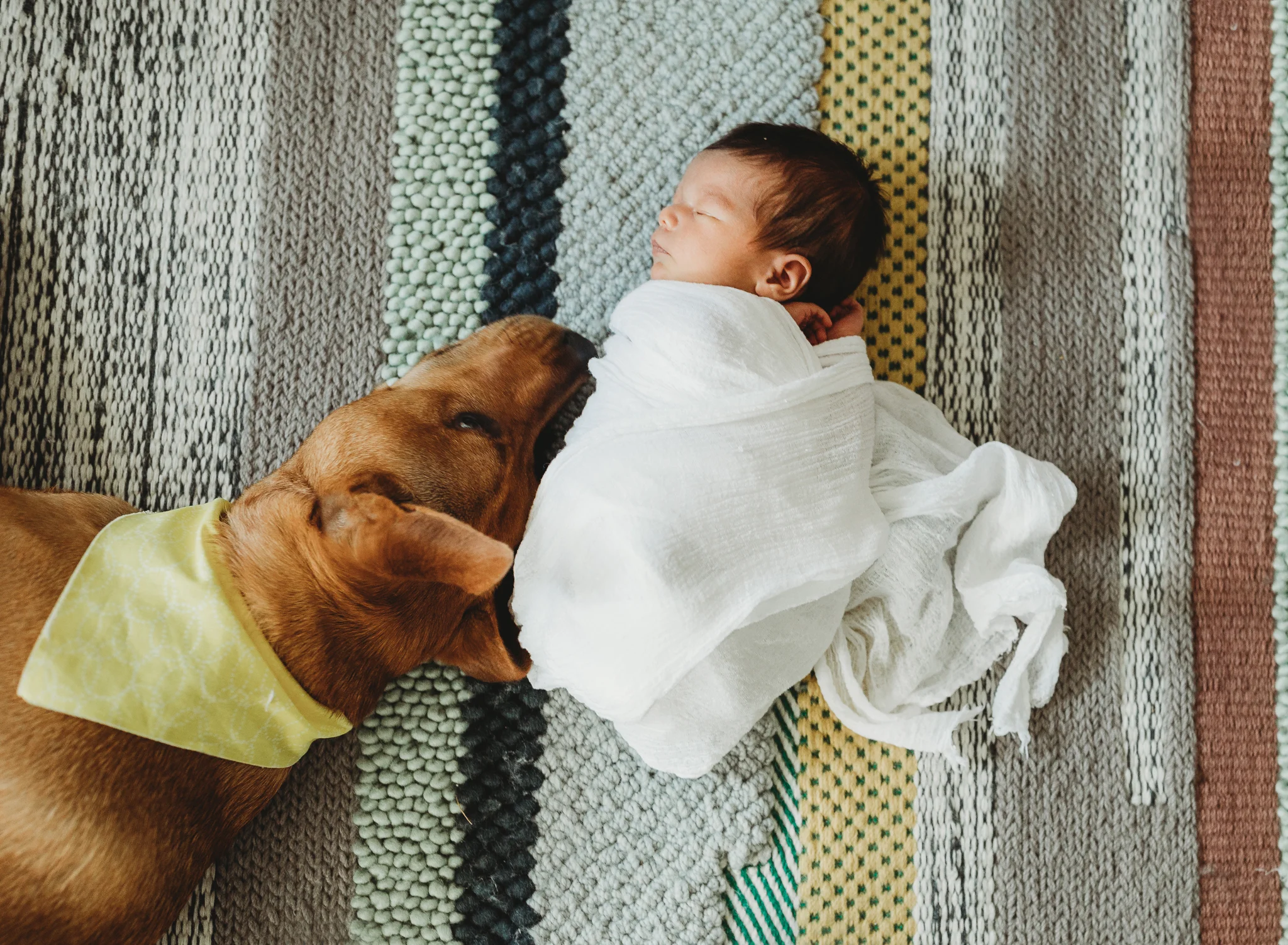 Newborn Margot_Web-29.jpg