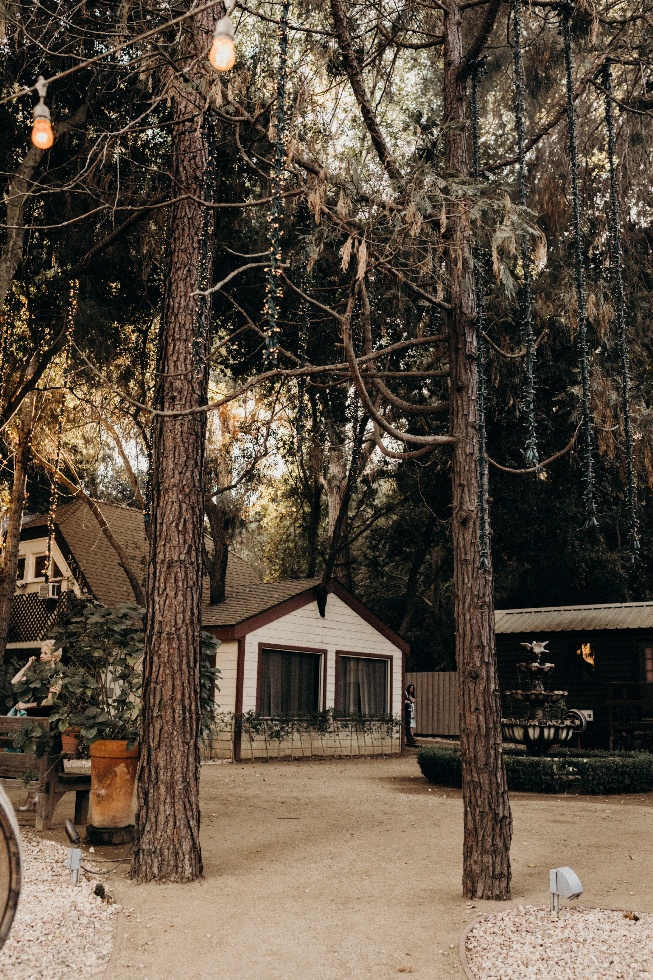 Ally + Travis-575.jpg