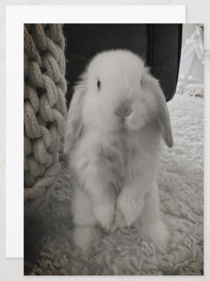 Screenshot 2025-03-12 at 12.42.20 PM.png