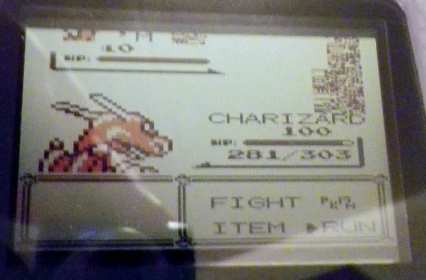 6. KILL MissingNo. Don't capture it or you'll have a bad time.