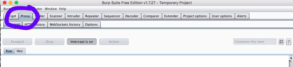 Click Proxy > Options .