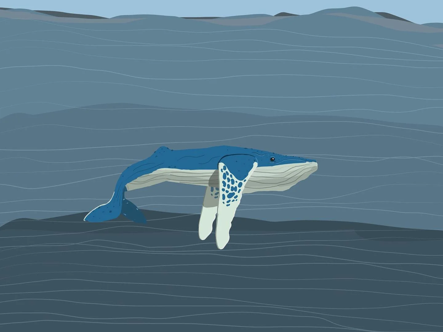 Humpback

#illustration #drawing #patterns #doodles #artwork #sketchbook #photoshopsketch #creative #palm #fresco #adobe #travel #animalplanet #slownotion #slowmotion #bisoncanyon #snakeplant #gratefuldead #llama #utah #landsacpes #fields #fresco #ad