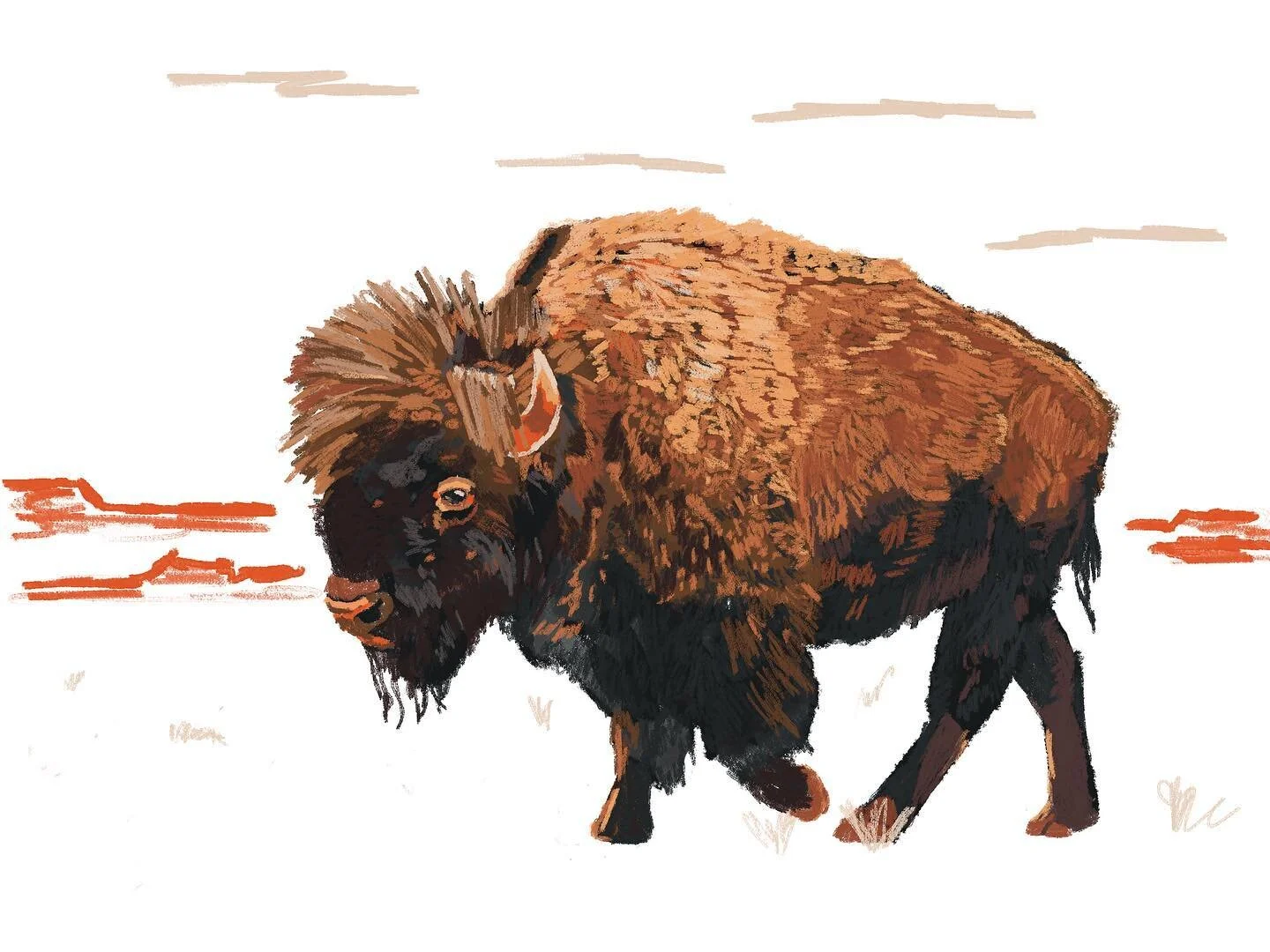 Bison fancy 
#illustration #drawing #patterns #doodles #artwork #sketchbook #photoshopsketch #creative #palm #fresco #adobe #travel #animalplanet #slownotion #slowmotion #bisoncanyon #buffalo #gratefuldead #bison #buffaloplaid #bufalo #bisson #buffal