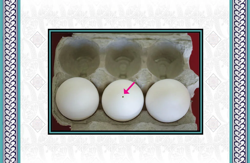 blowing-egg-out-5x.jpg