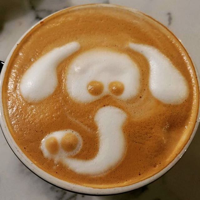 What is an elephants favorite rap song? &ldquo;I like big nuts and I cannot lie&rdquo;...
#latteart #barista  #cafe  #art #la colombe coffee #swork_coffee #eaglerock