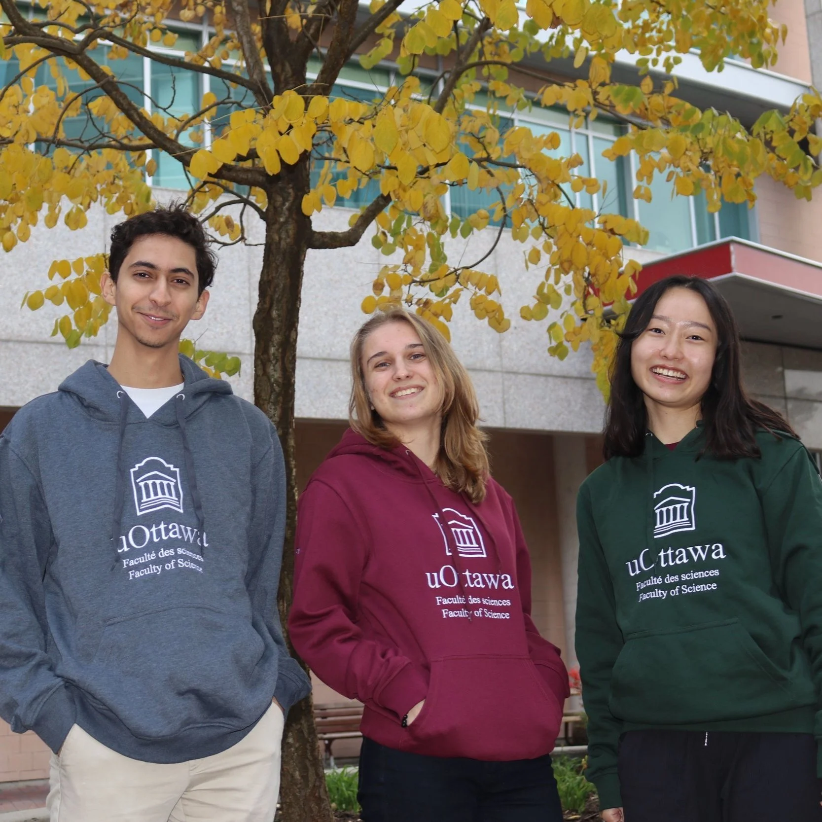 Sweats à Capuche  / Faculty of Science Hoodies