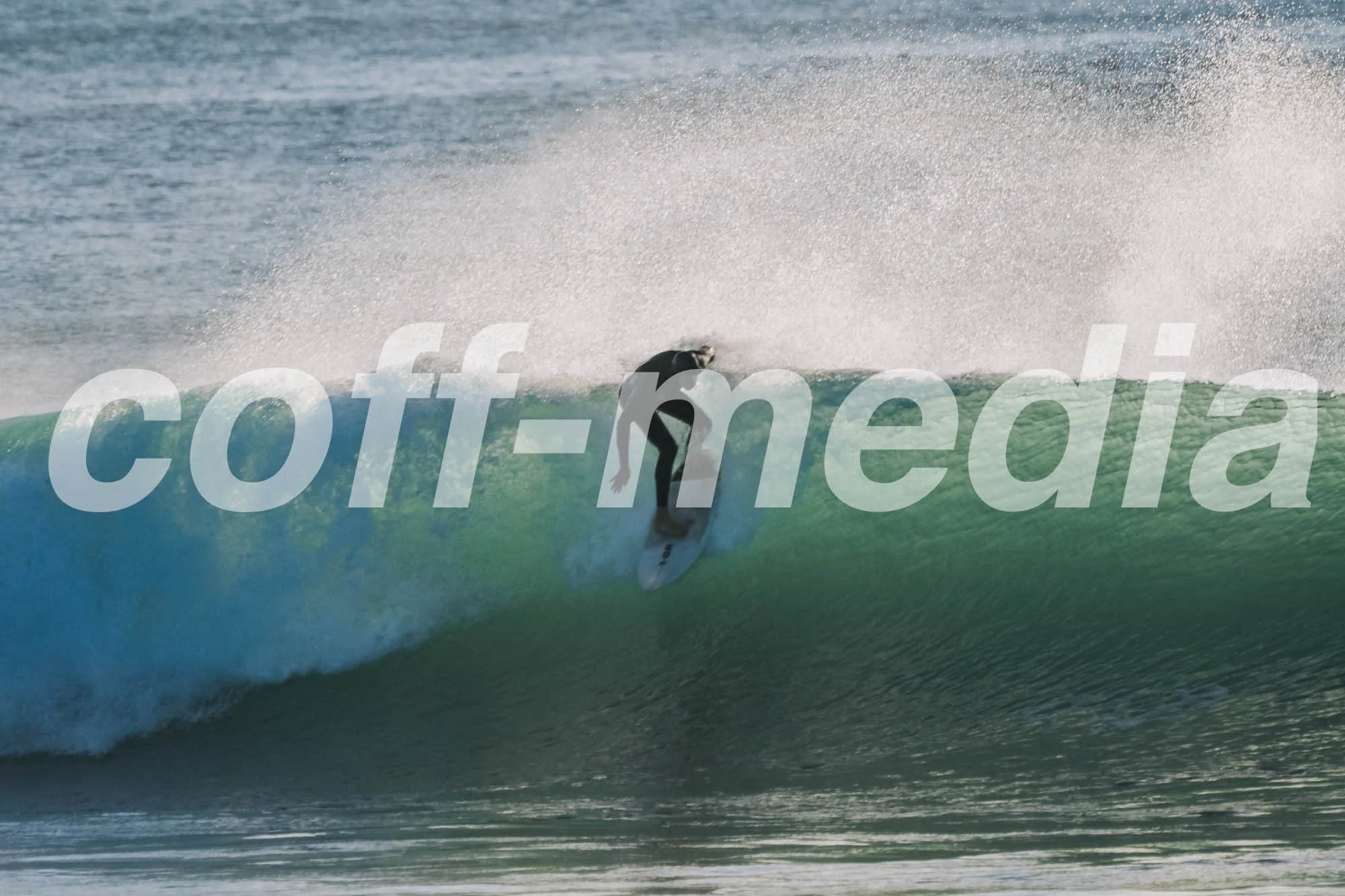 DSC08901.jpg