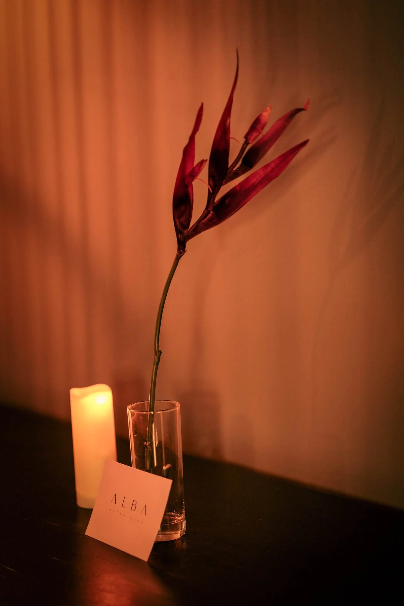 DSC07051.jpg