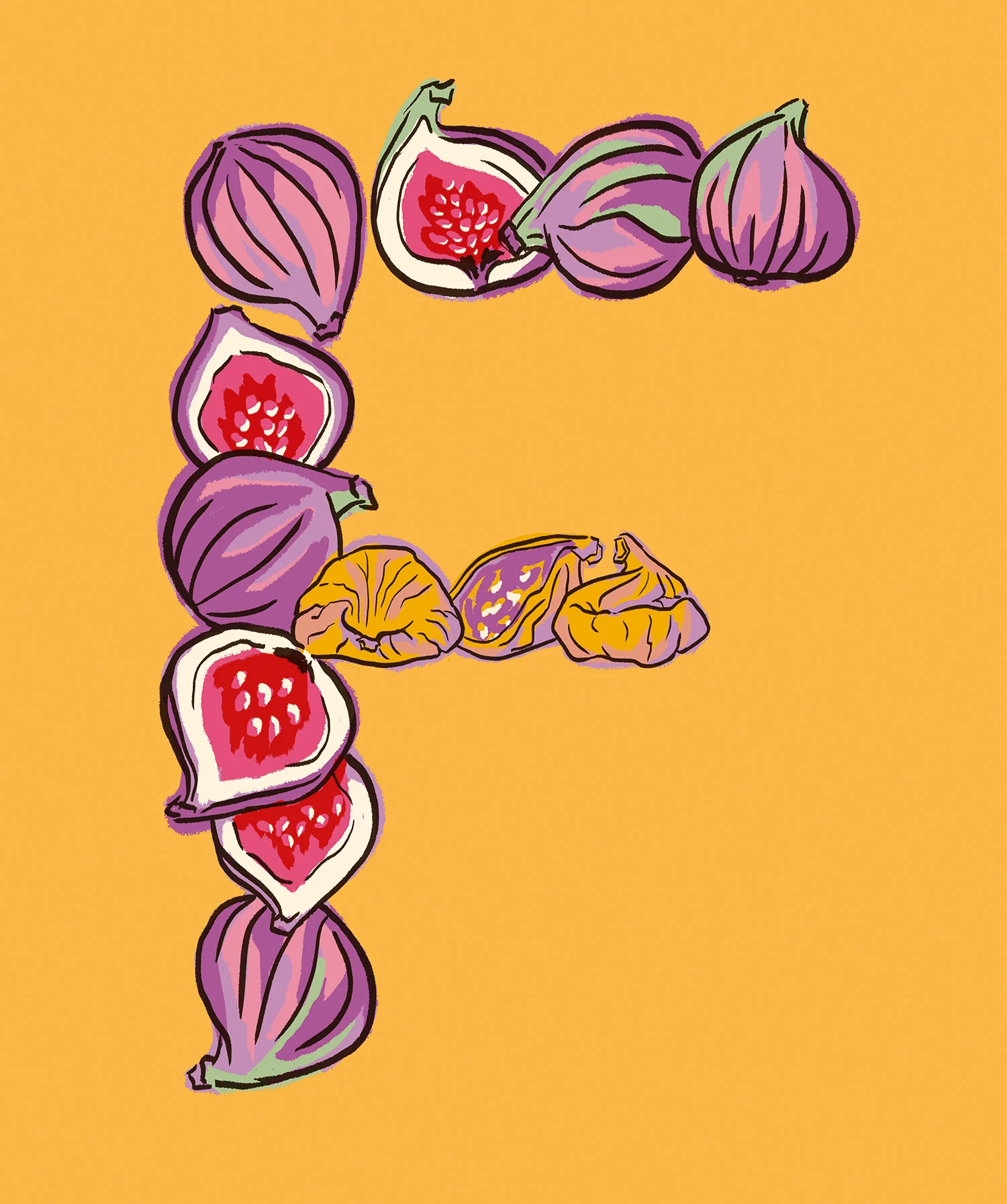 teaching-resource-flashcard-pattern-education-illustrations-figs-by-fiona-dunnett-thumbnail.jpg