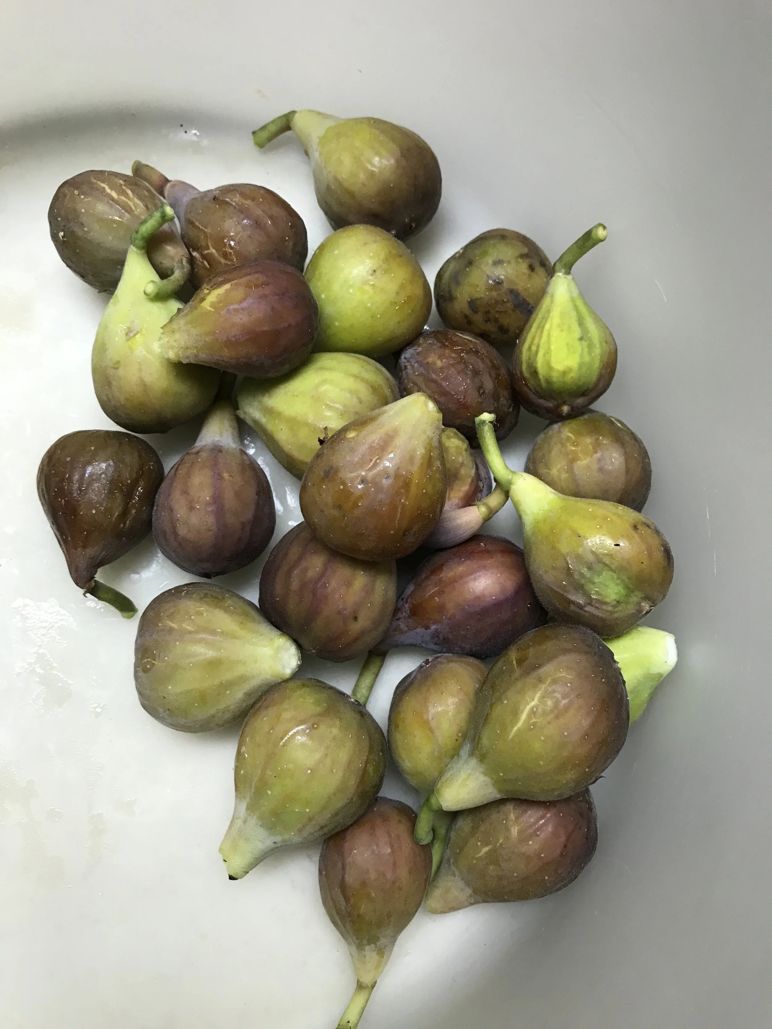 Figs2.JPG