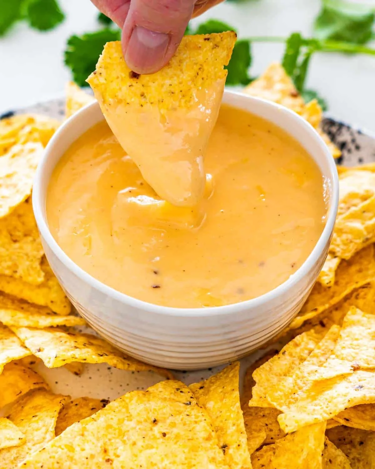 nacho-cheese-sauce-1-8.jpg