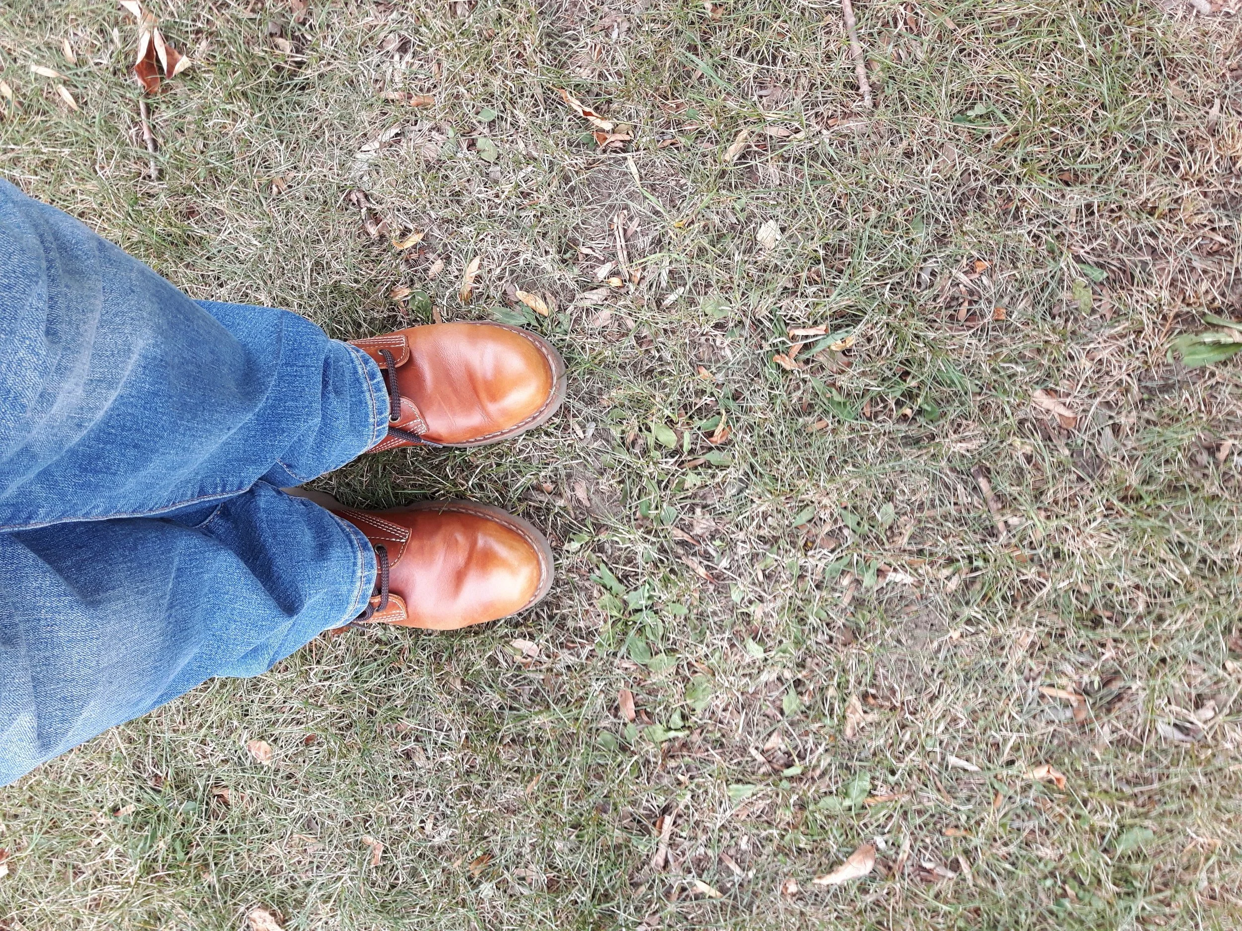 20180910_155759.jpg