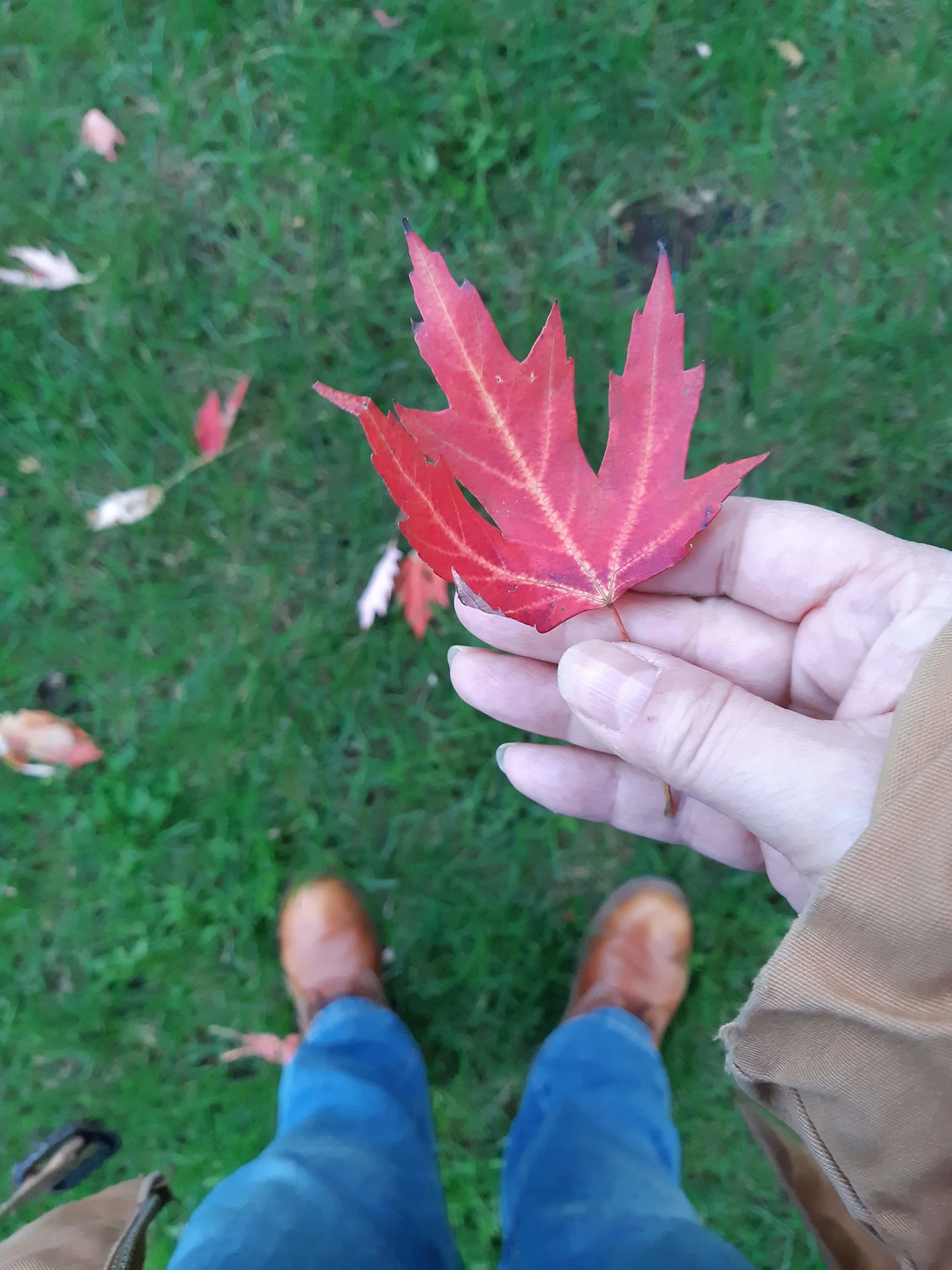 20181005_181034.jpg