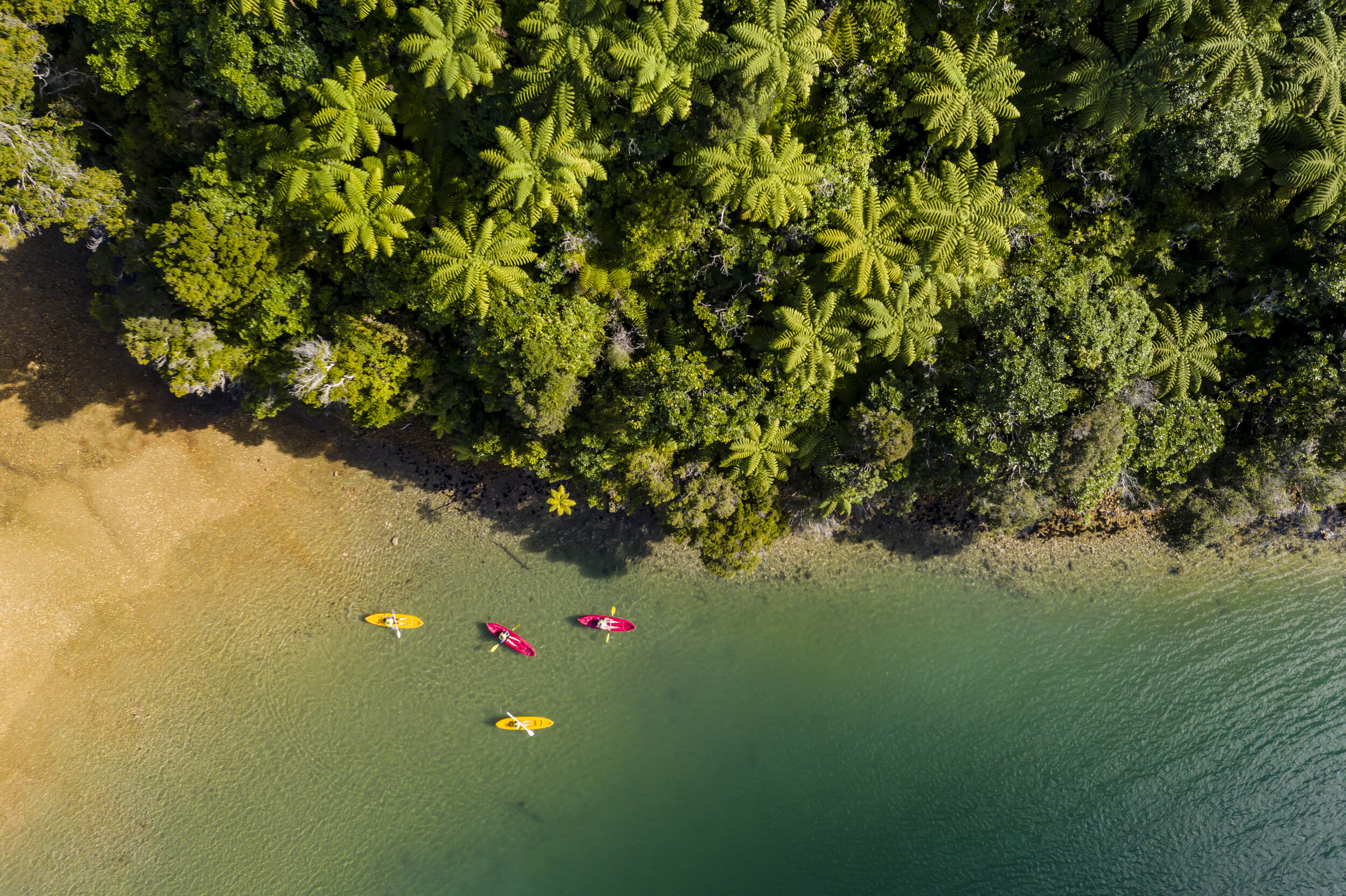 Kayaking native bush Endeavour Inlet aerial MH.jpg