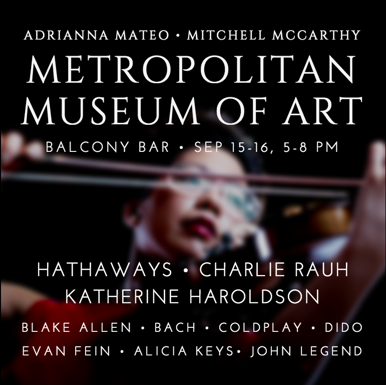 Metropolitan Museum of Art