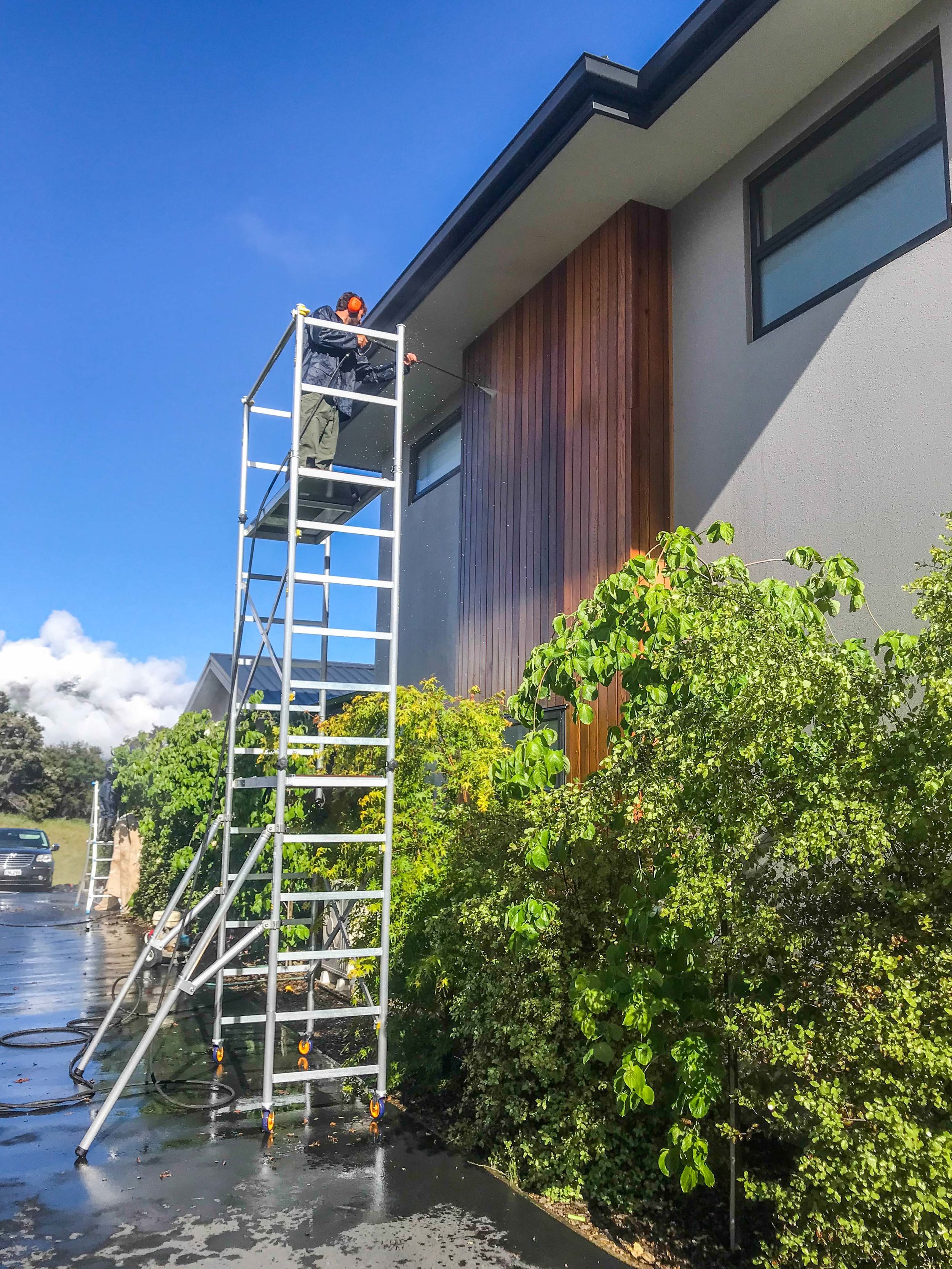 cedar cladding nz