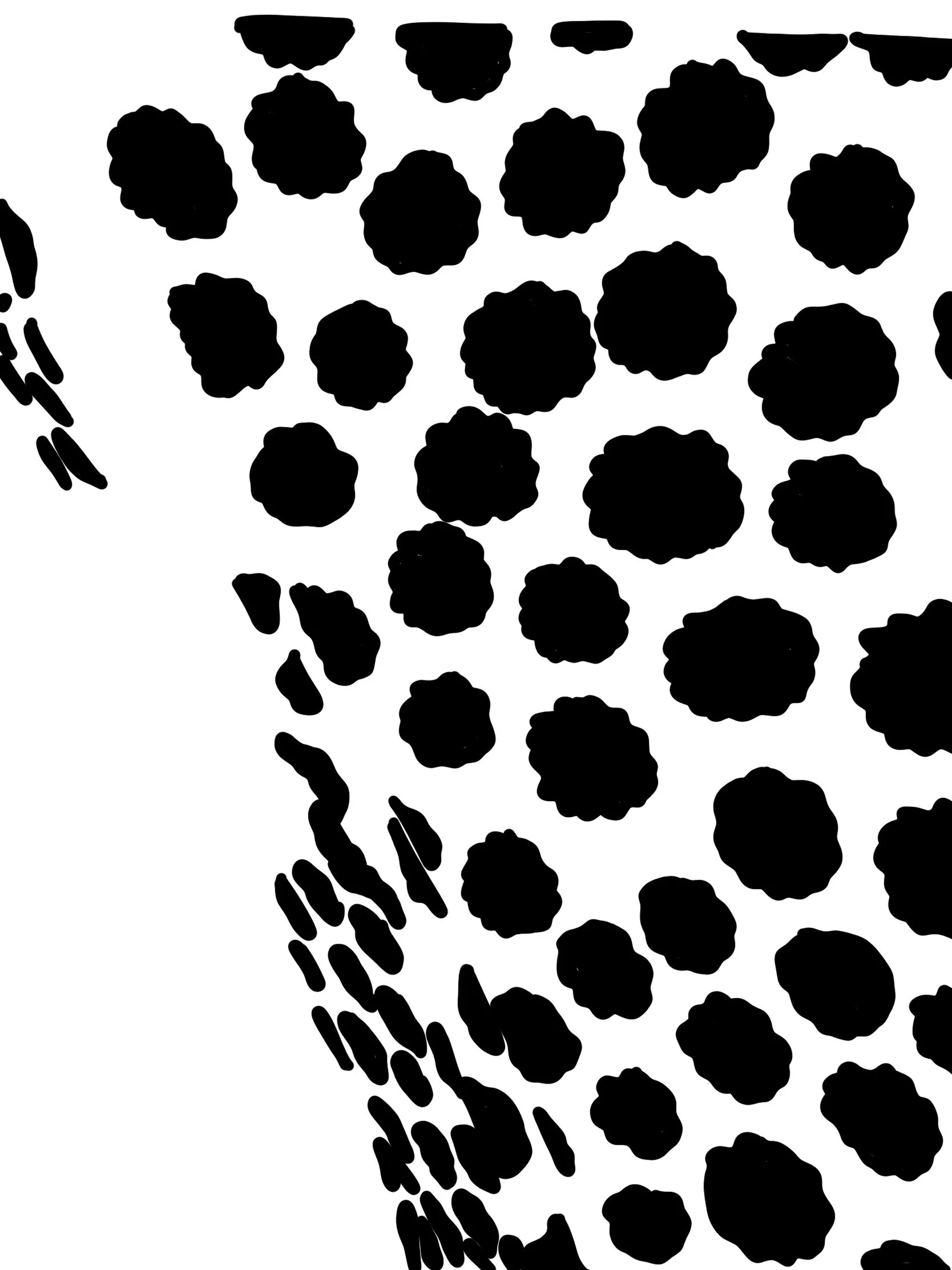 polka.jpg