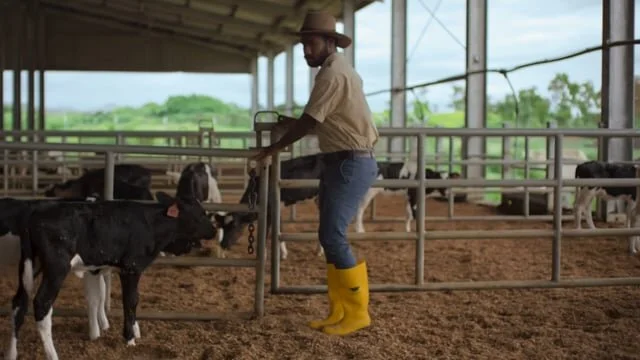 Dir: Johnny Moubarak - Nasfund