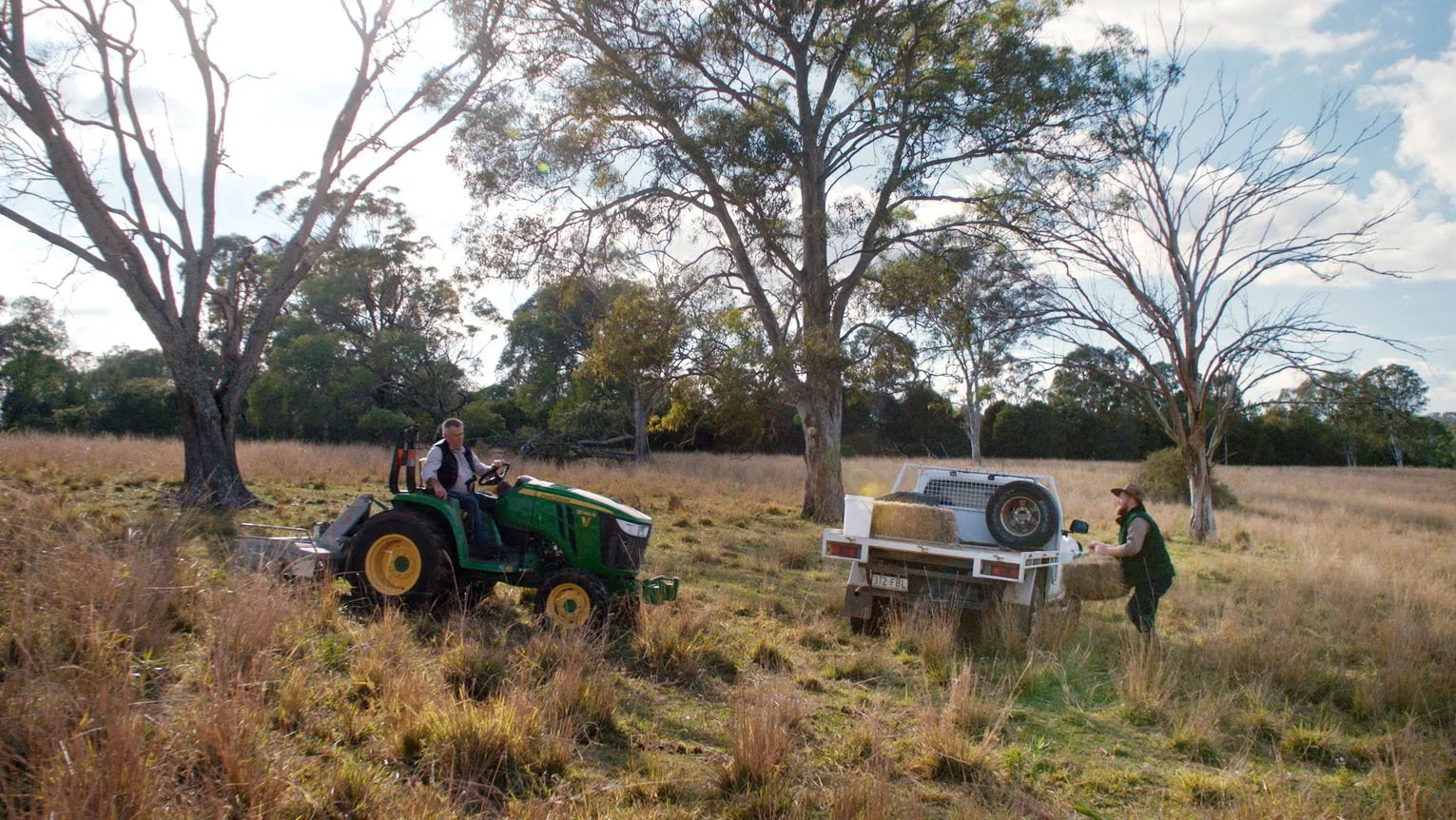 McDonalds Brand Trust